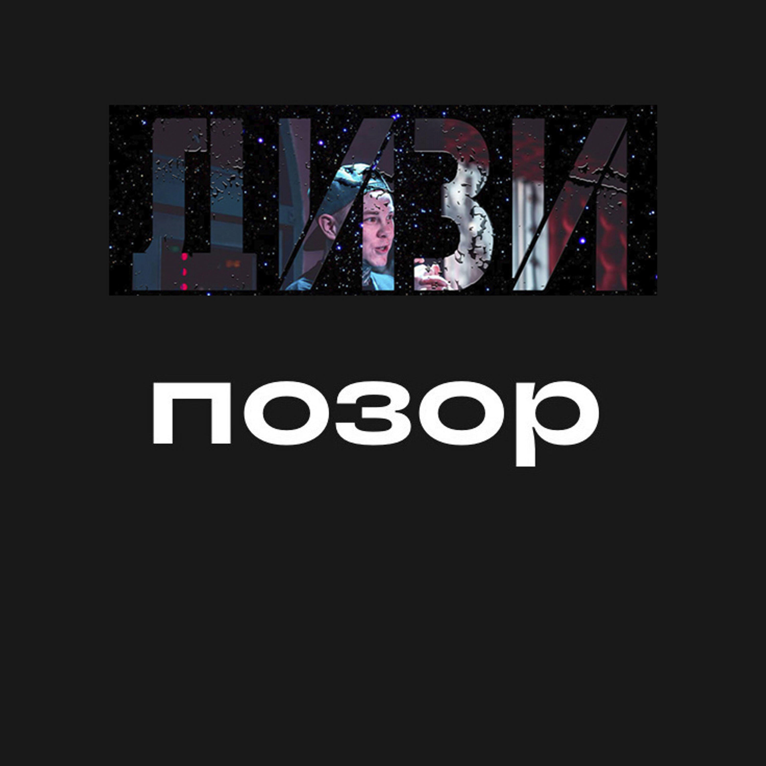 Постер альбома Я позор, но горжусь этим