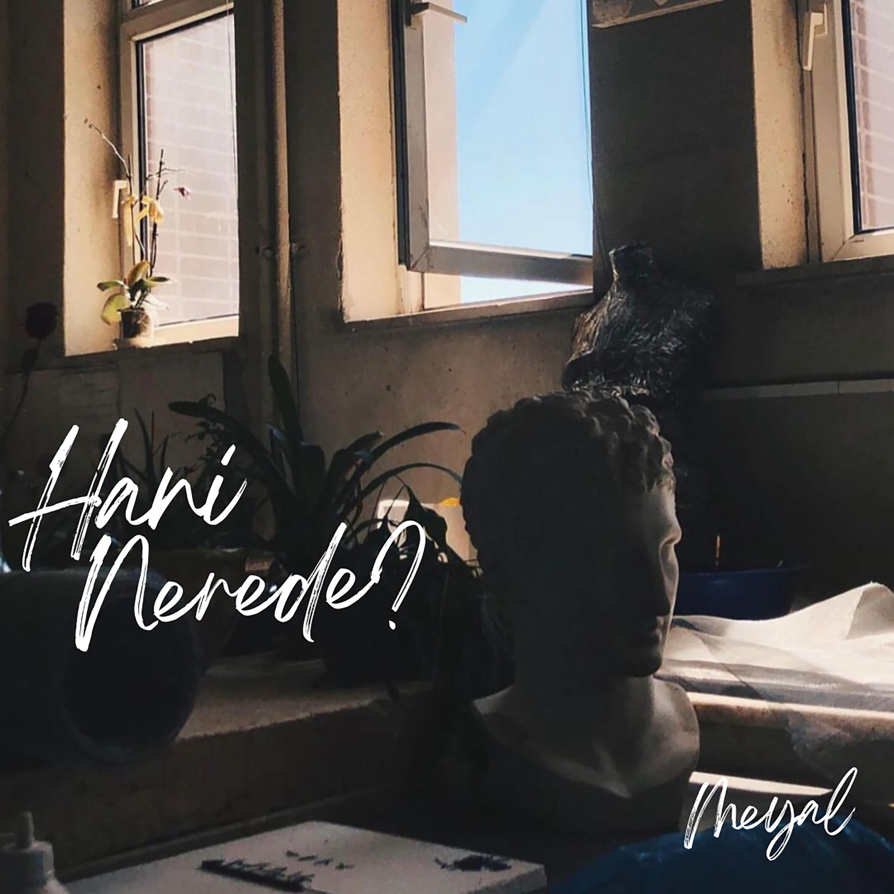 Релиз Hani Nerede?