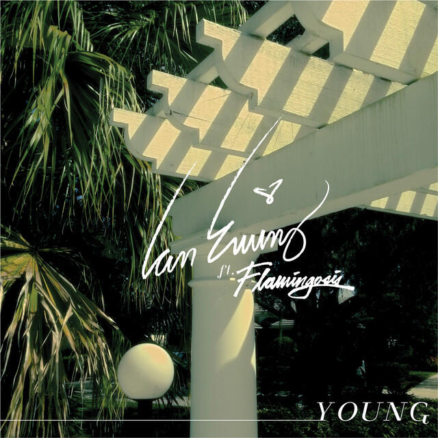 Релиз Young