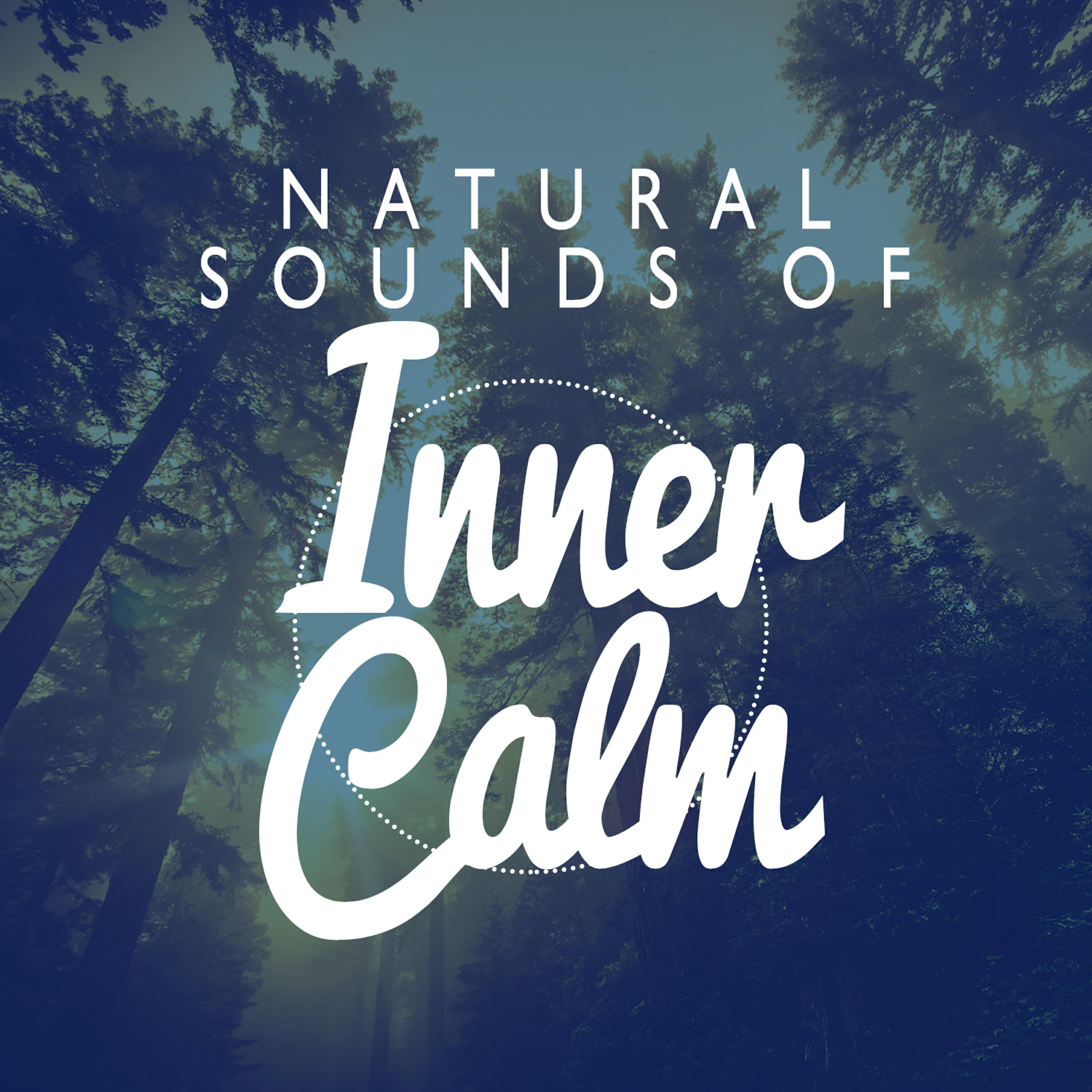 Релиз Natural Sounds for Inner Calm