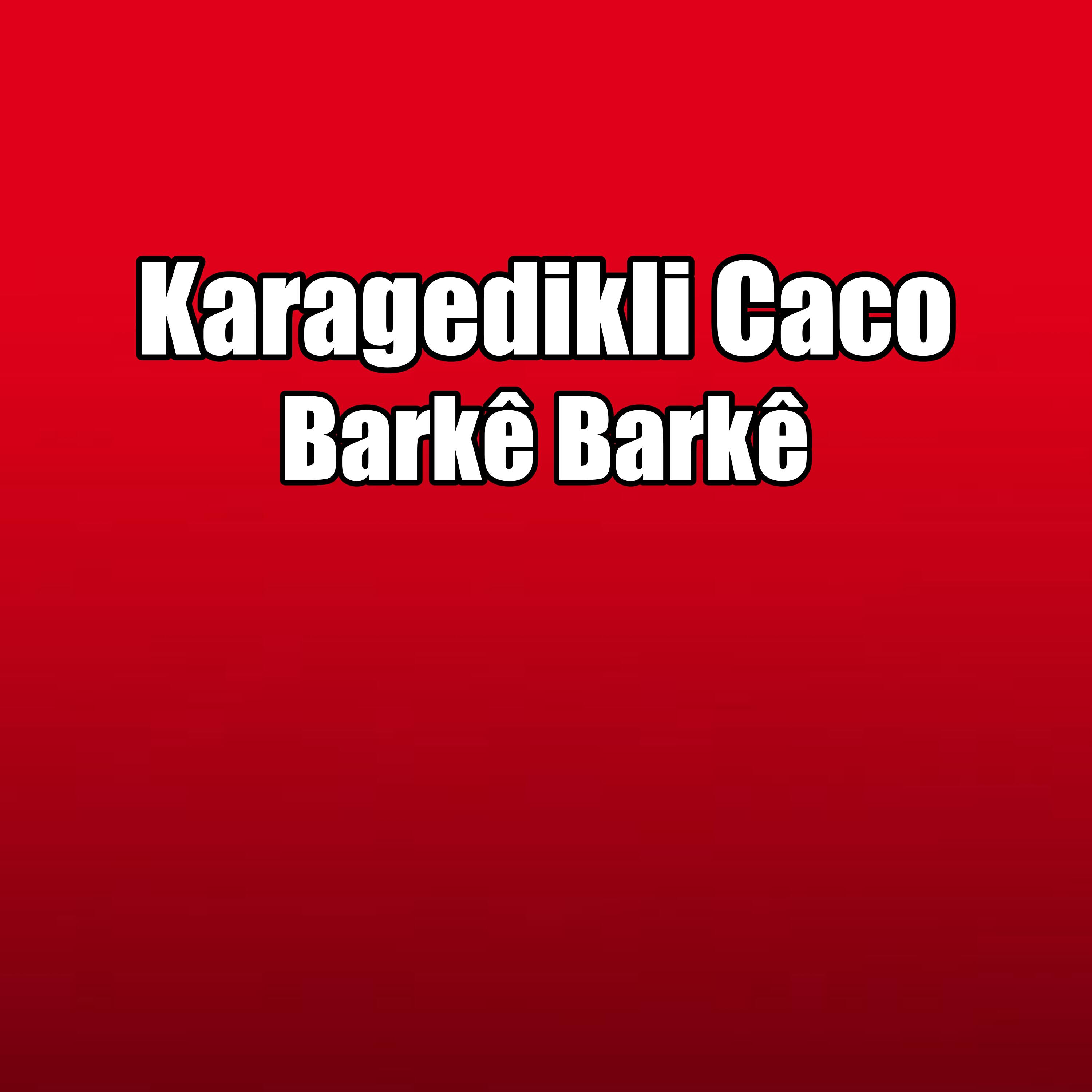 Релиз Barkê Barkê