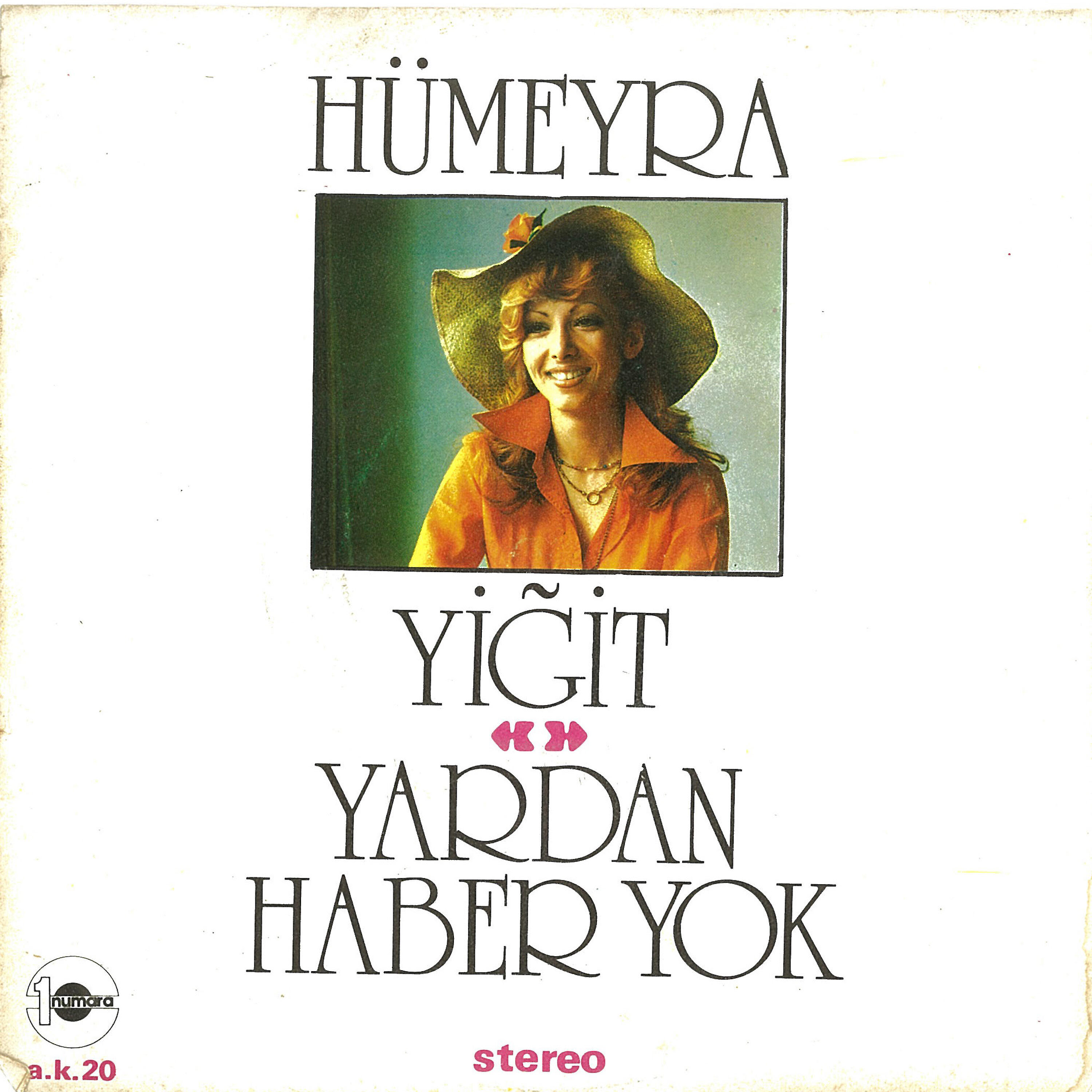 Релиз Yiğit / Yardan Haber Yok
