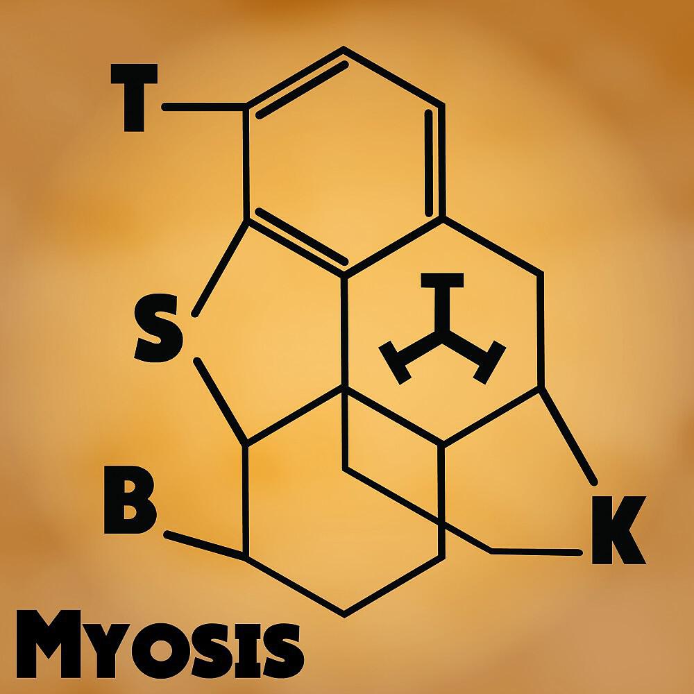 Релиз Myosis (Original Mix)