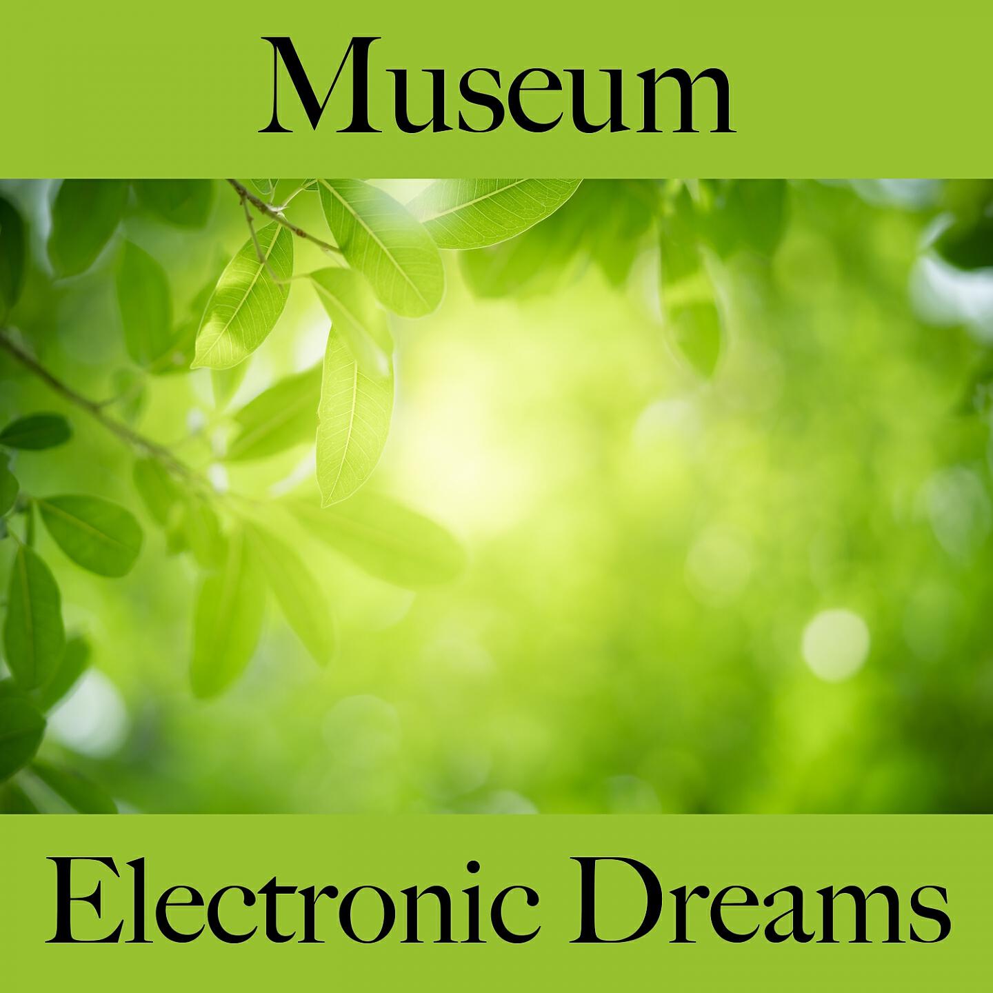 Релиз Museum: Electronic Dreams - The Best Sounds For Relaxation