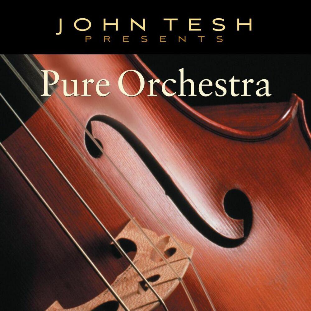 Релиз Pure Orchestra