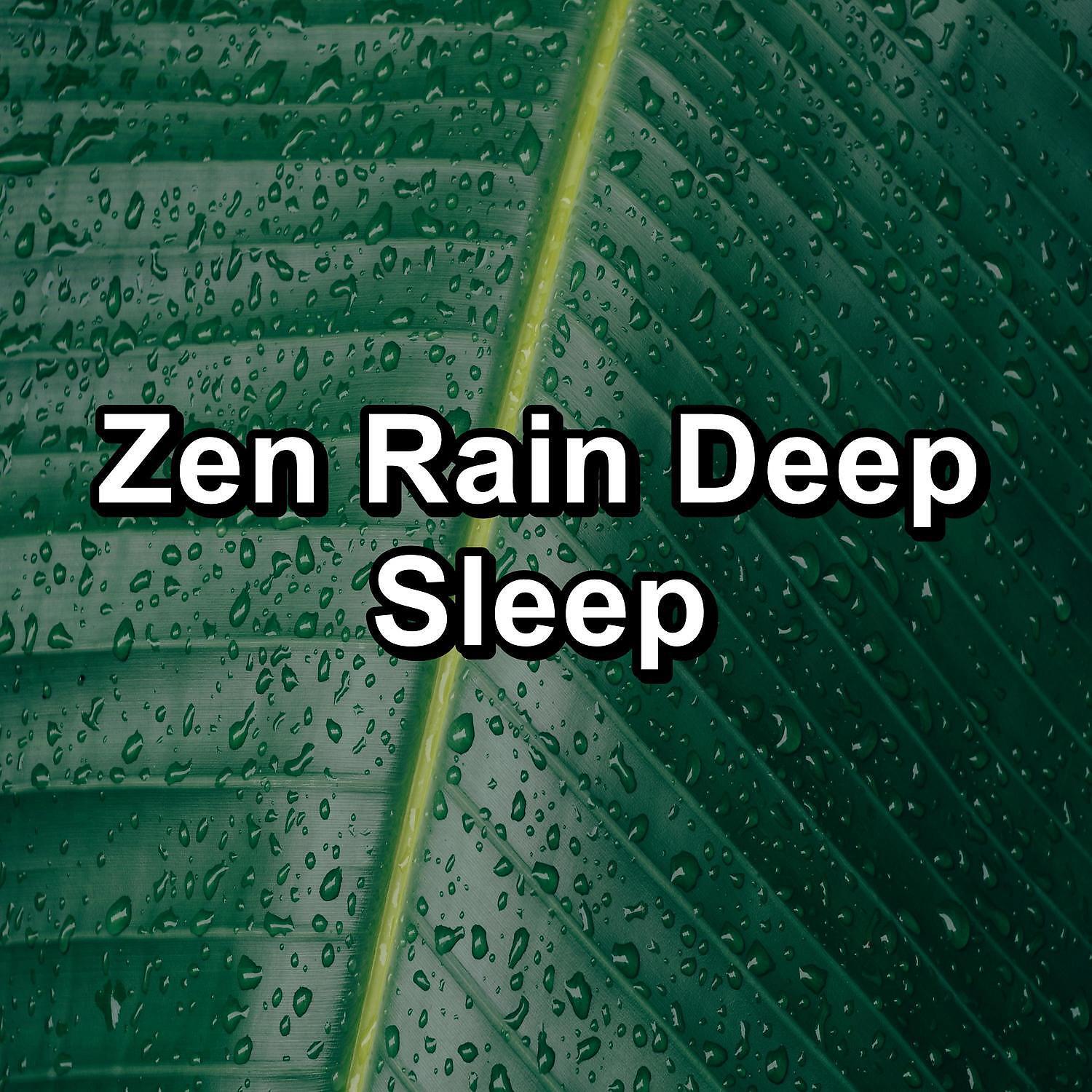 Релиз Zen Rain Deep Sleep