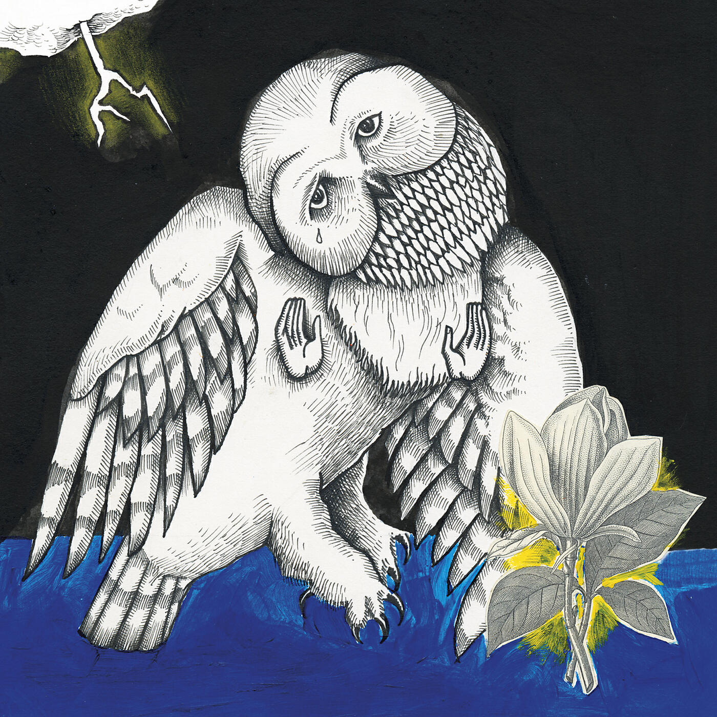 Постер альбома Magnolia Electric Co.