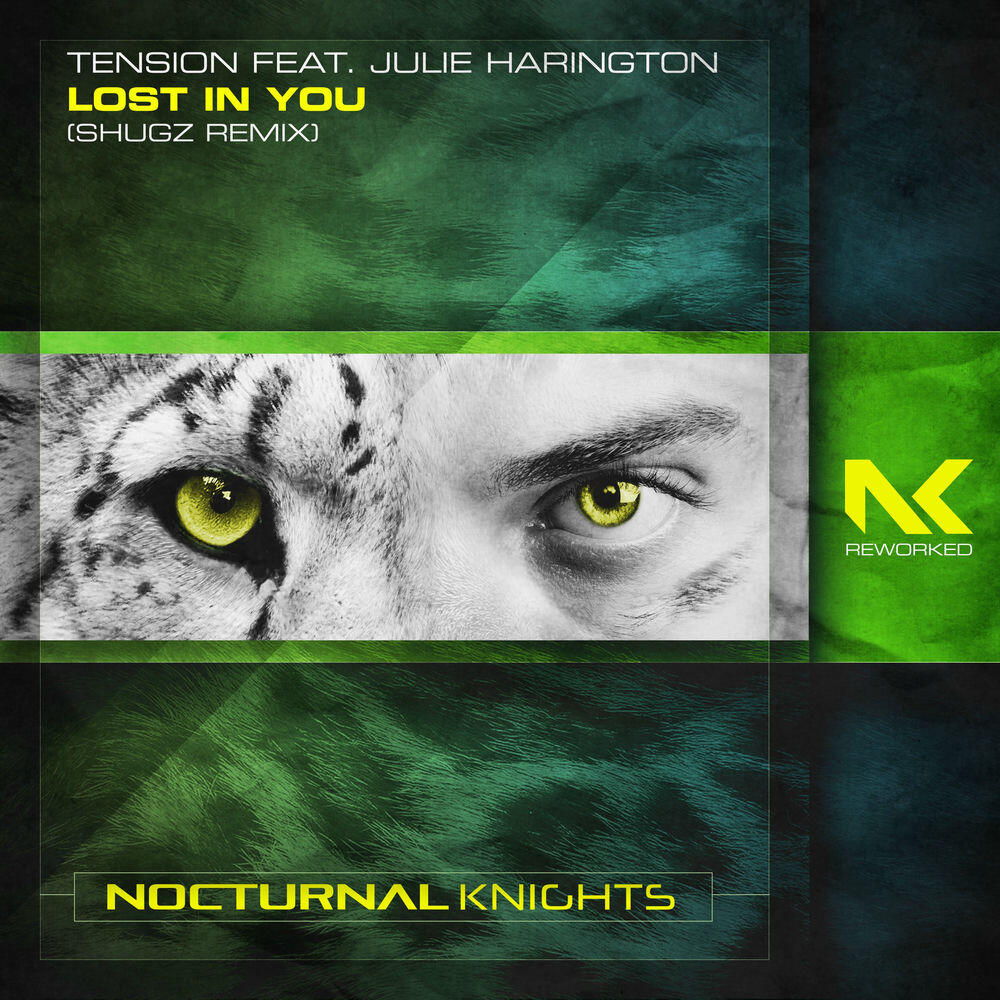 Релиз Lost in You (Shugz Remix)