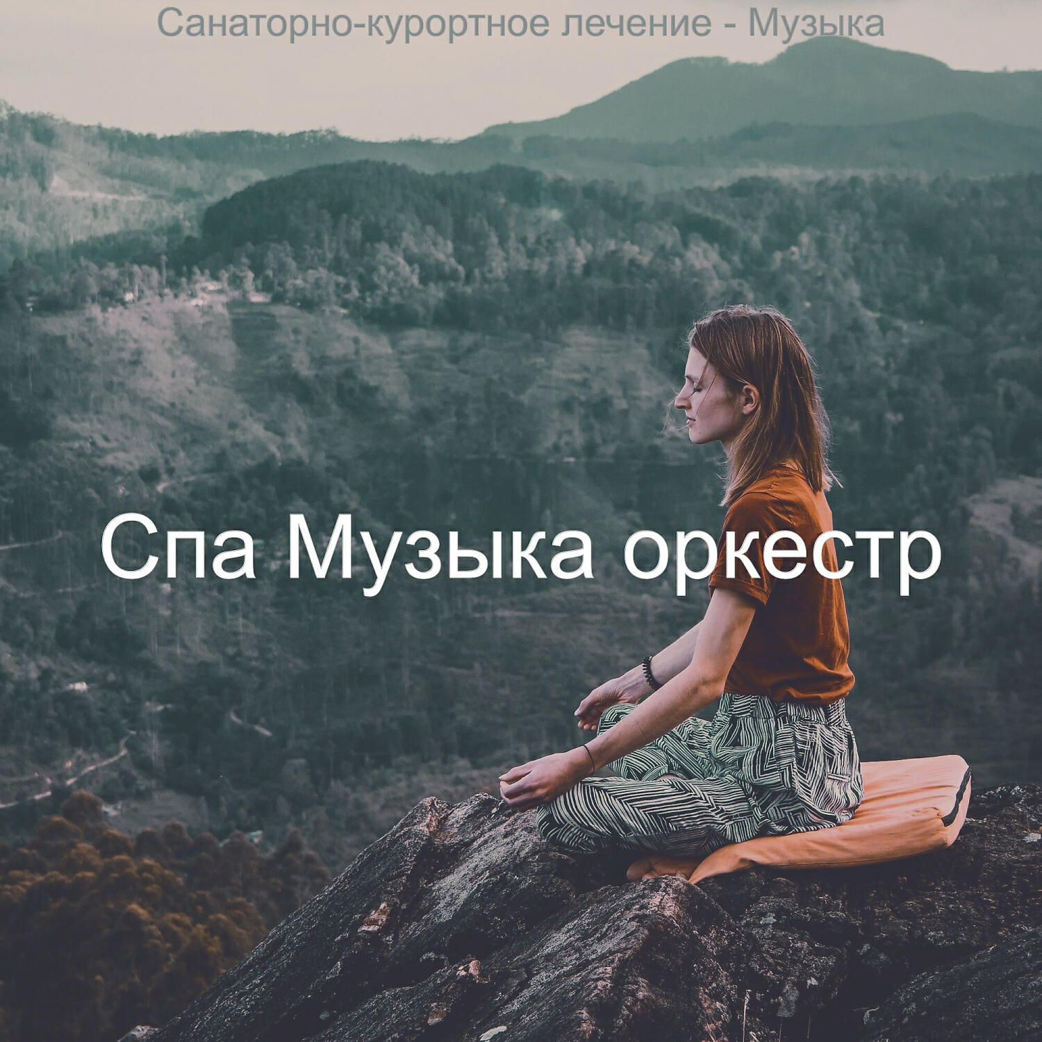 Релиз Санаторно-курортное лечение - Музыка
