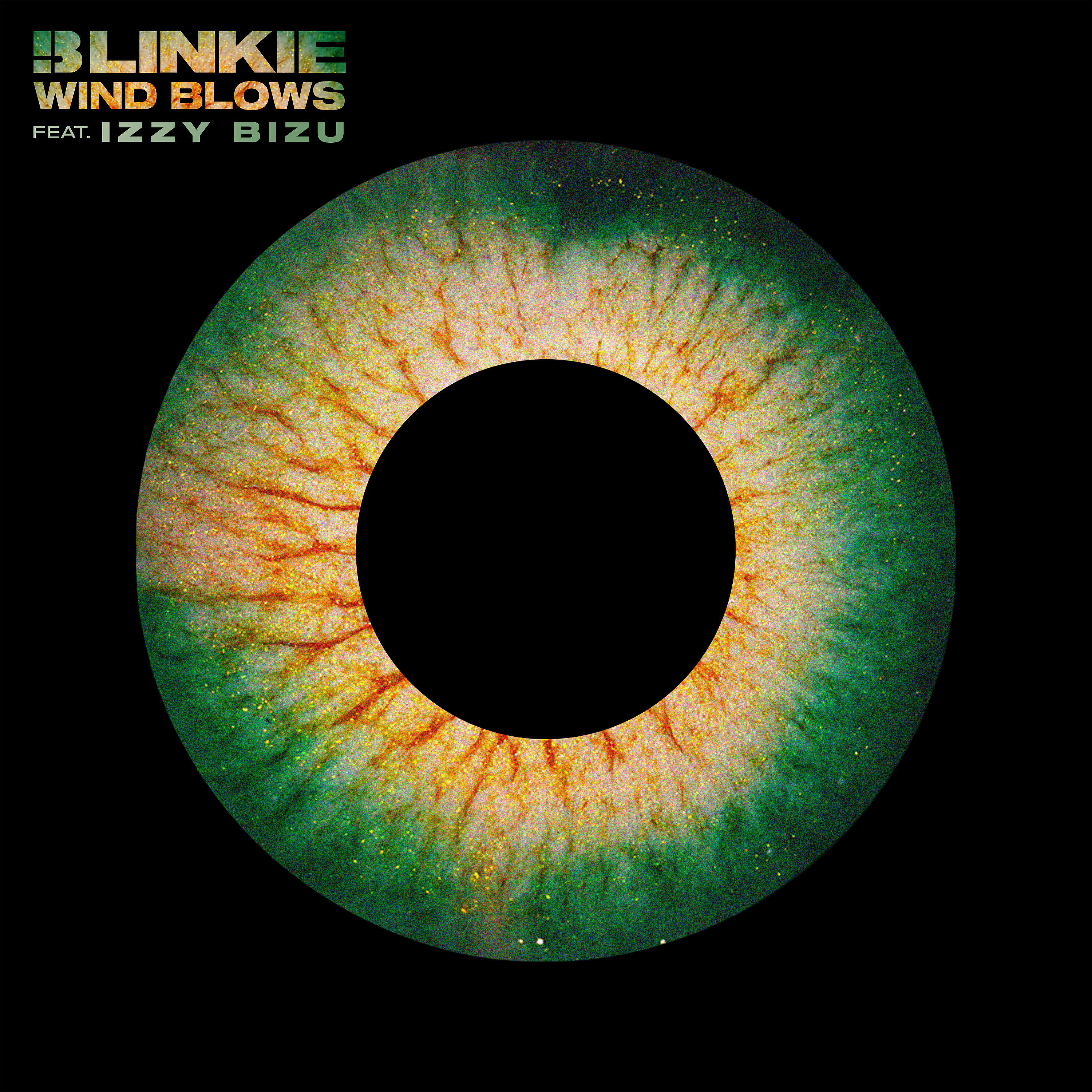 Трек Wind Blows (feat. Izzy Bizu)
