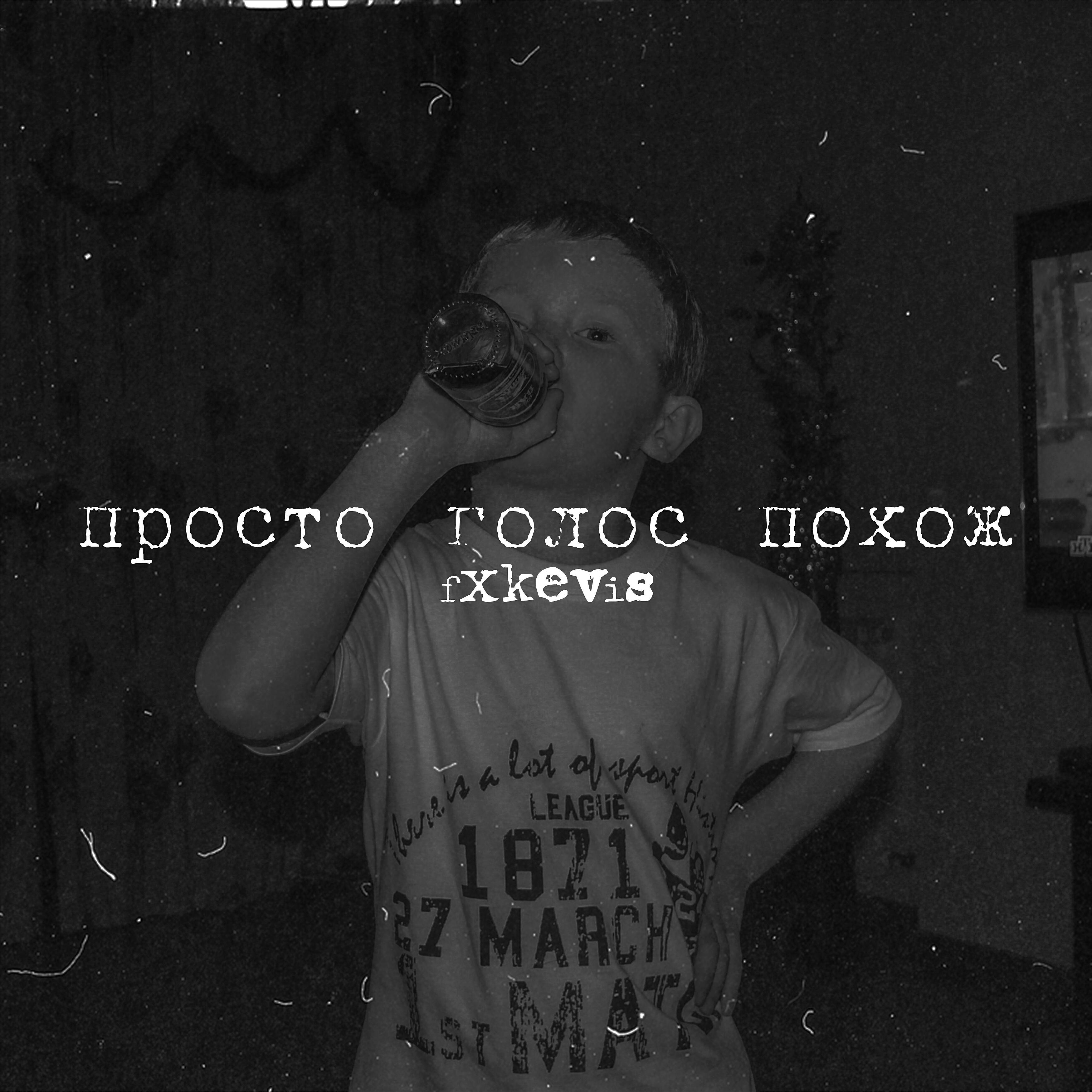 Постер альбома Просто голос похож