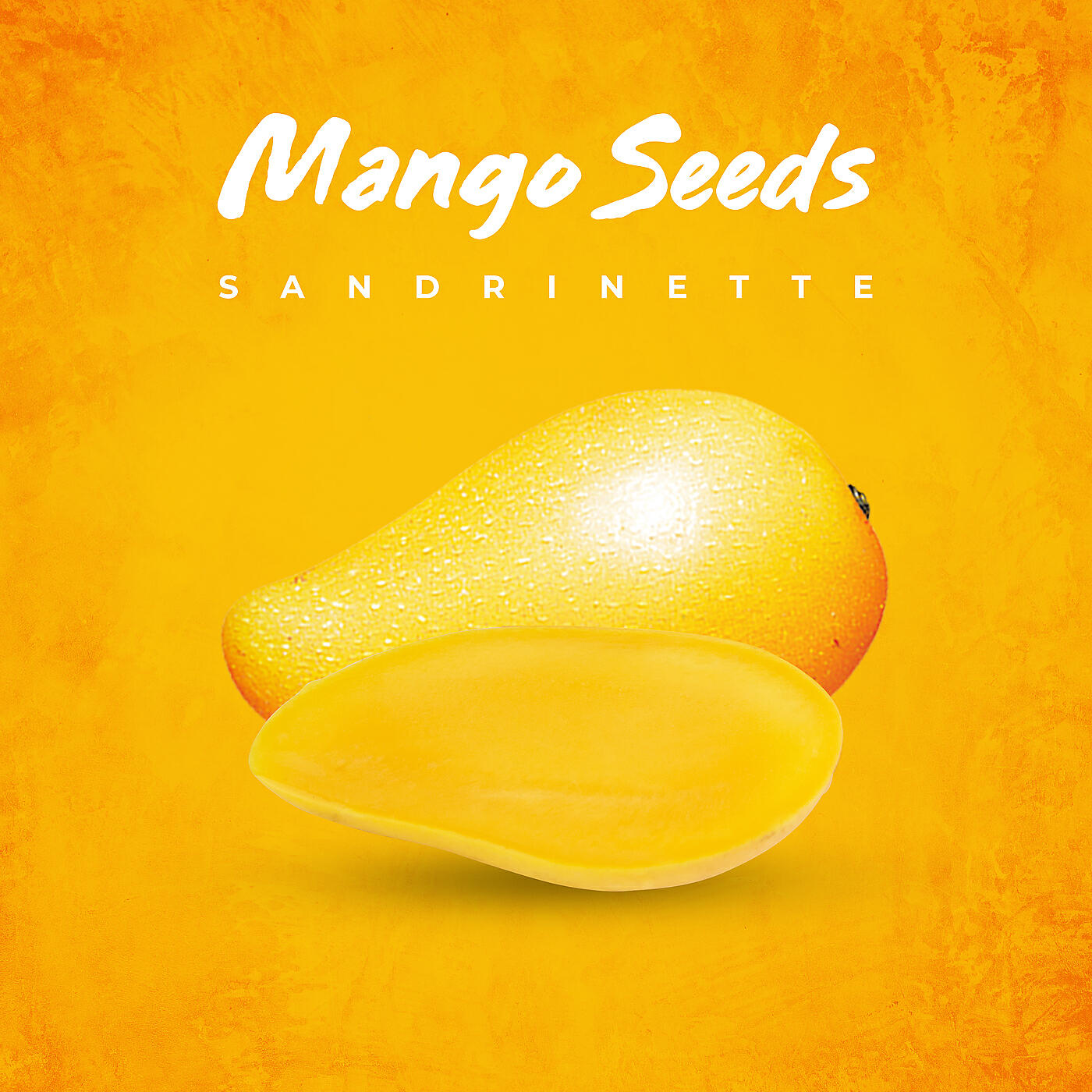 Релиз Mango Seeds