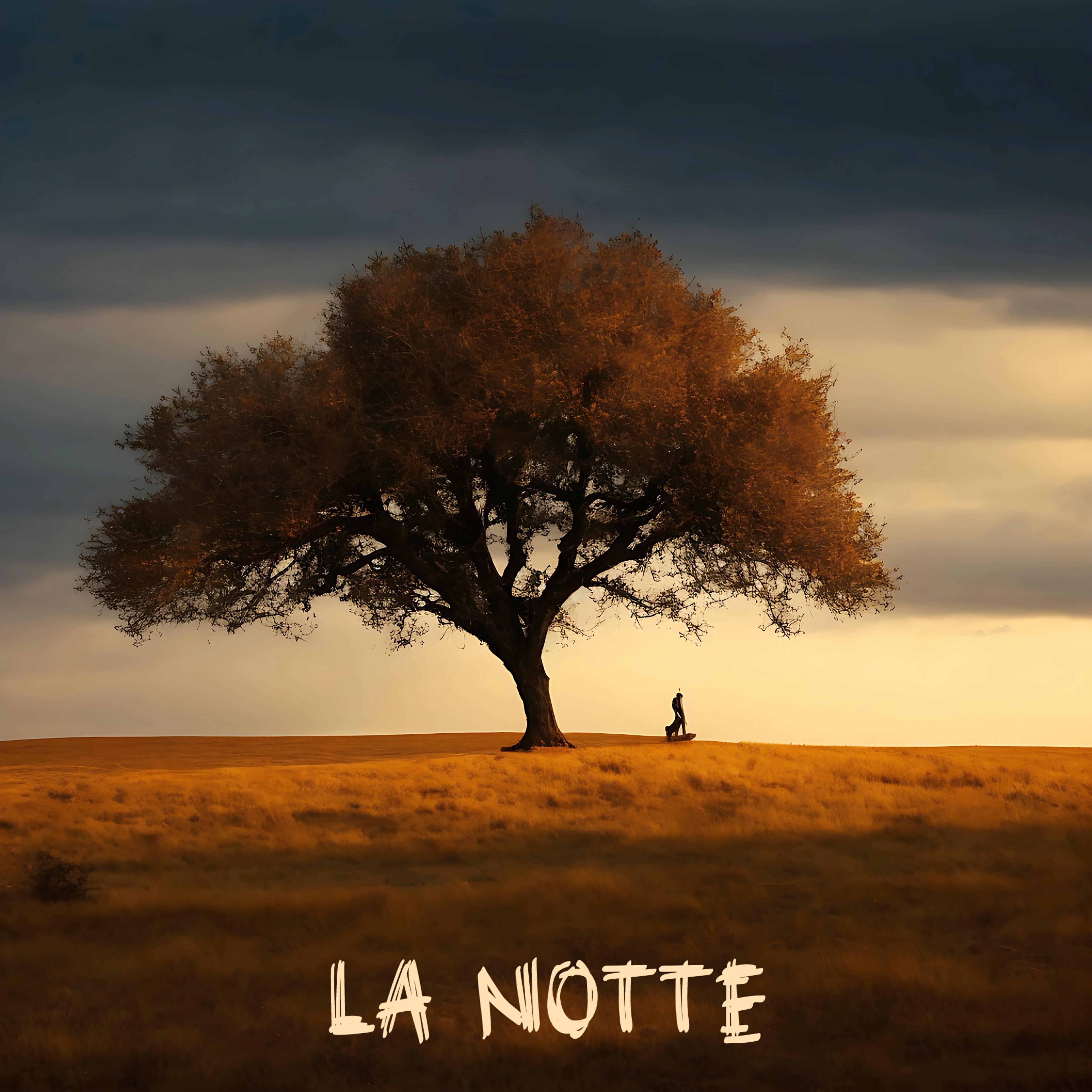 Релиз La Notte