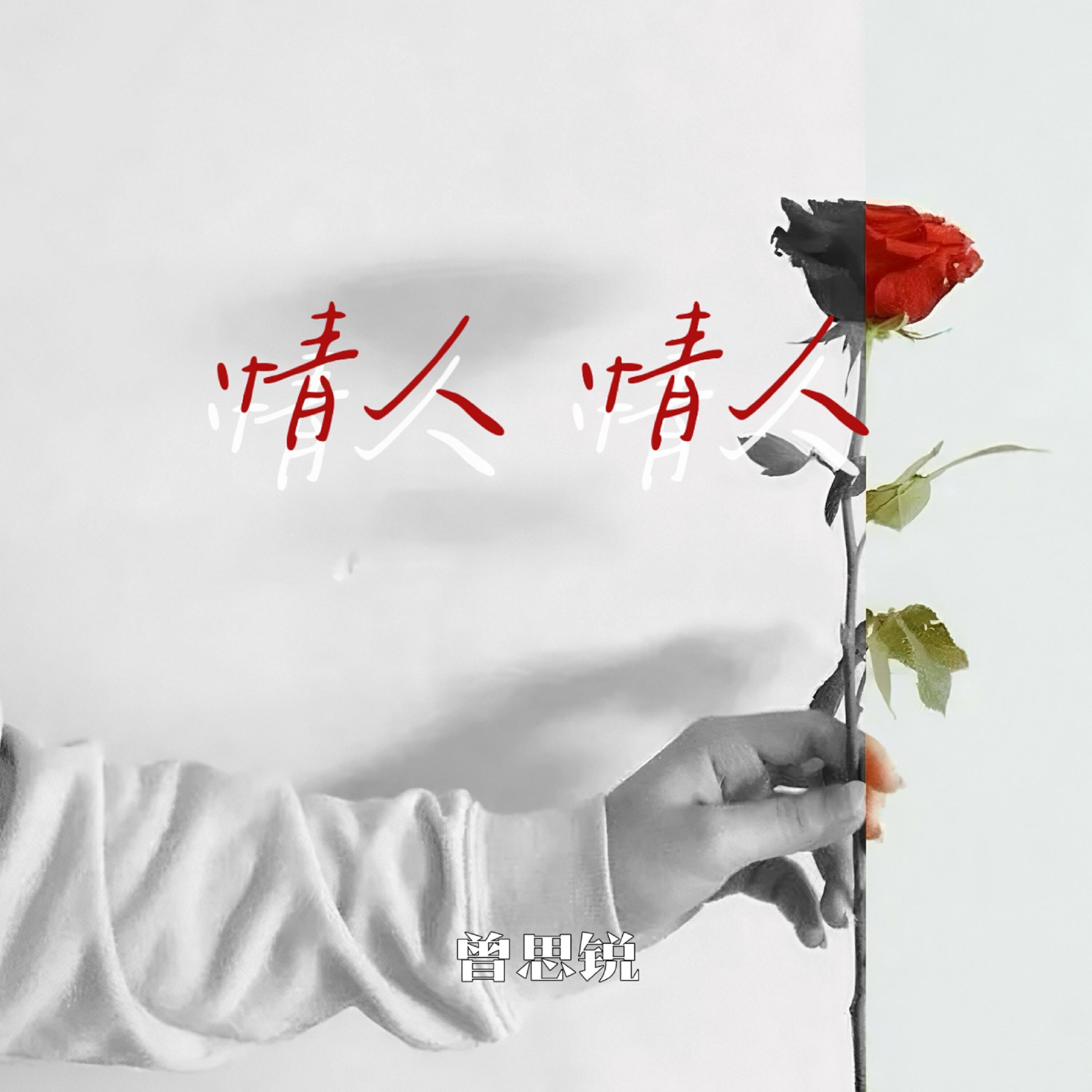 Трек 情人 情人 (DJLHN版)