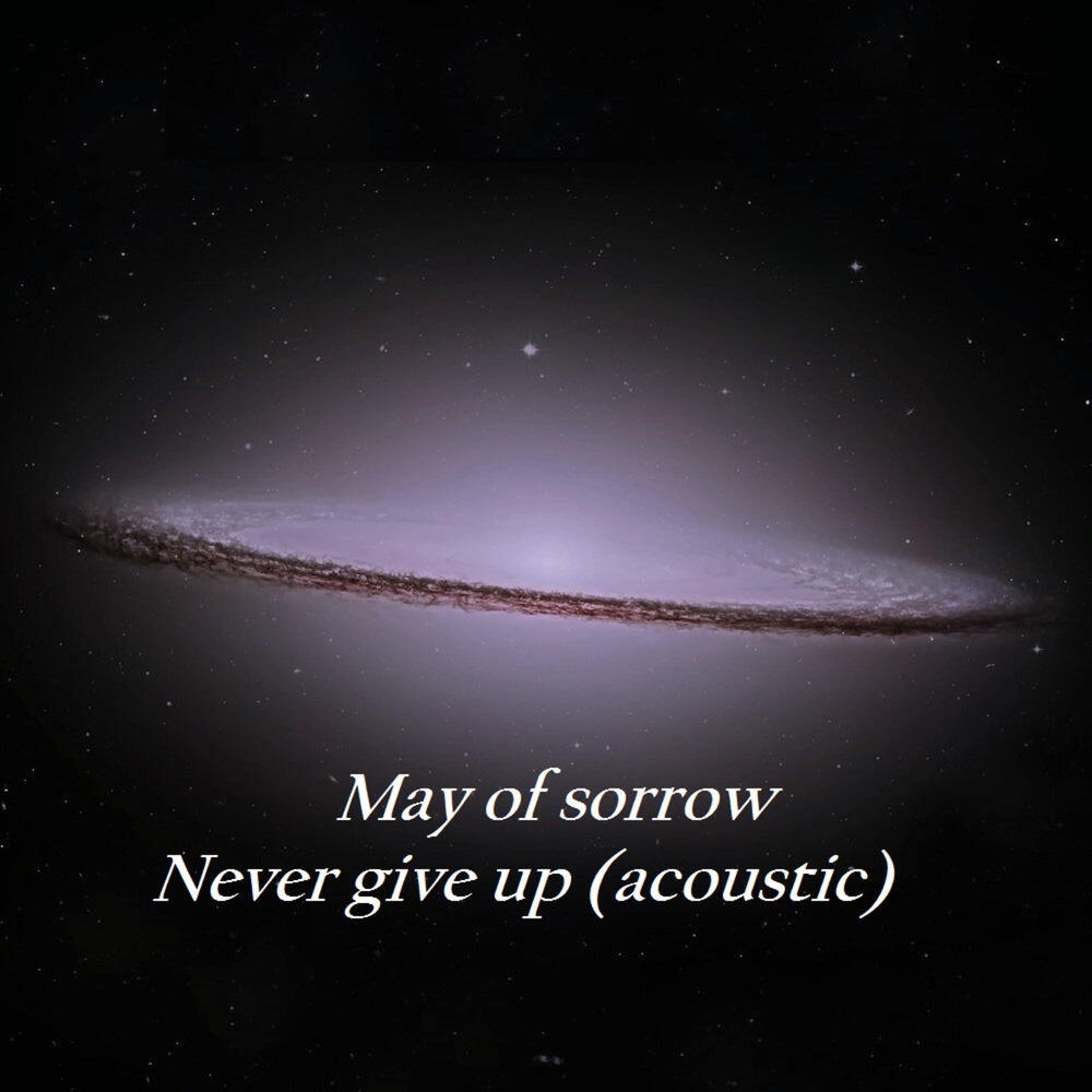 Релиз Never Give Up (Acoustic)