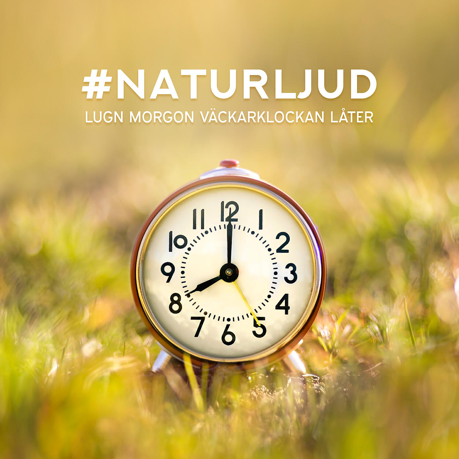 Lugnt Naturparadis