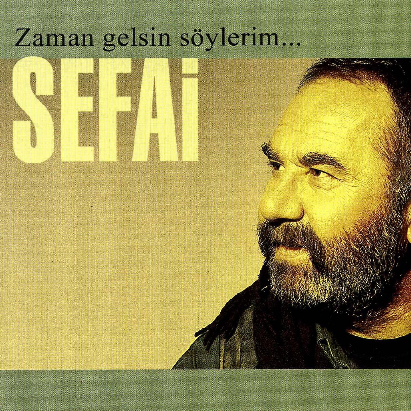 Постер альбома Zaman Gelsin Söylerim