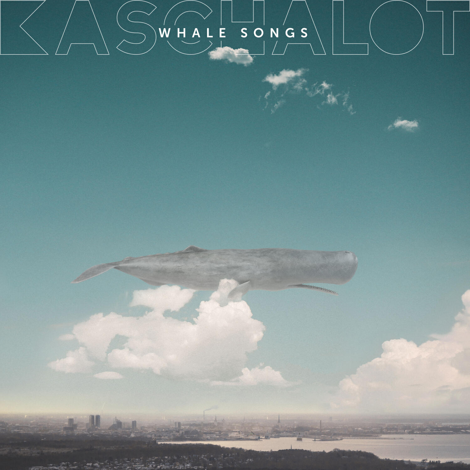 Релиз Whale Songs