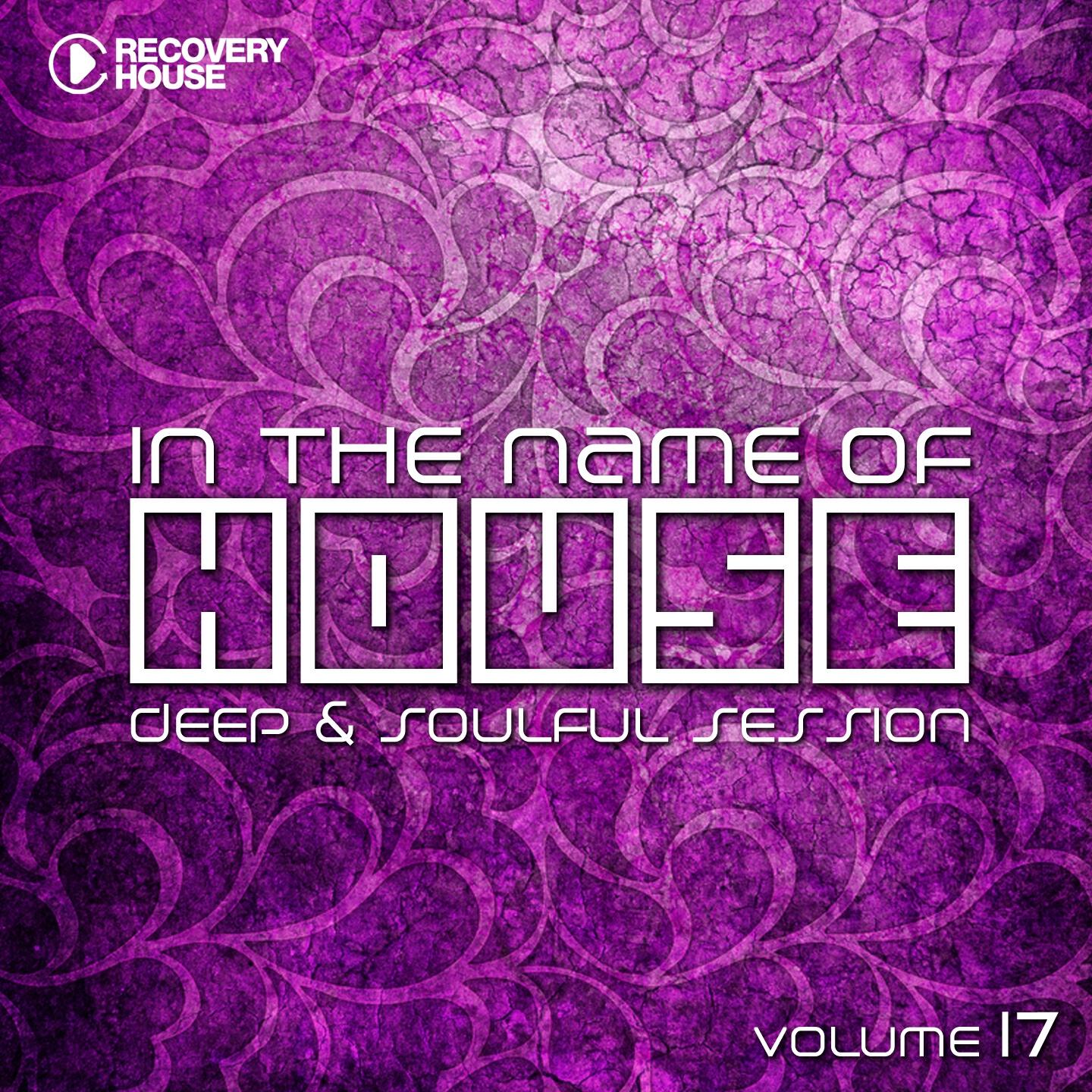 Релиз In the Name of House, Vol. 17