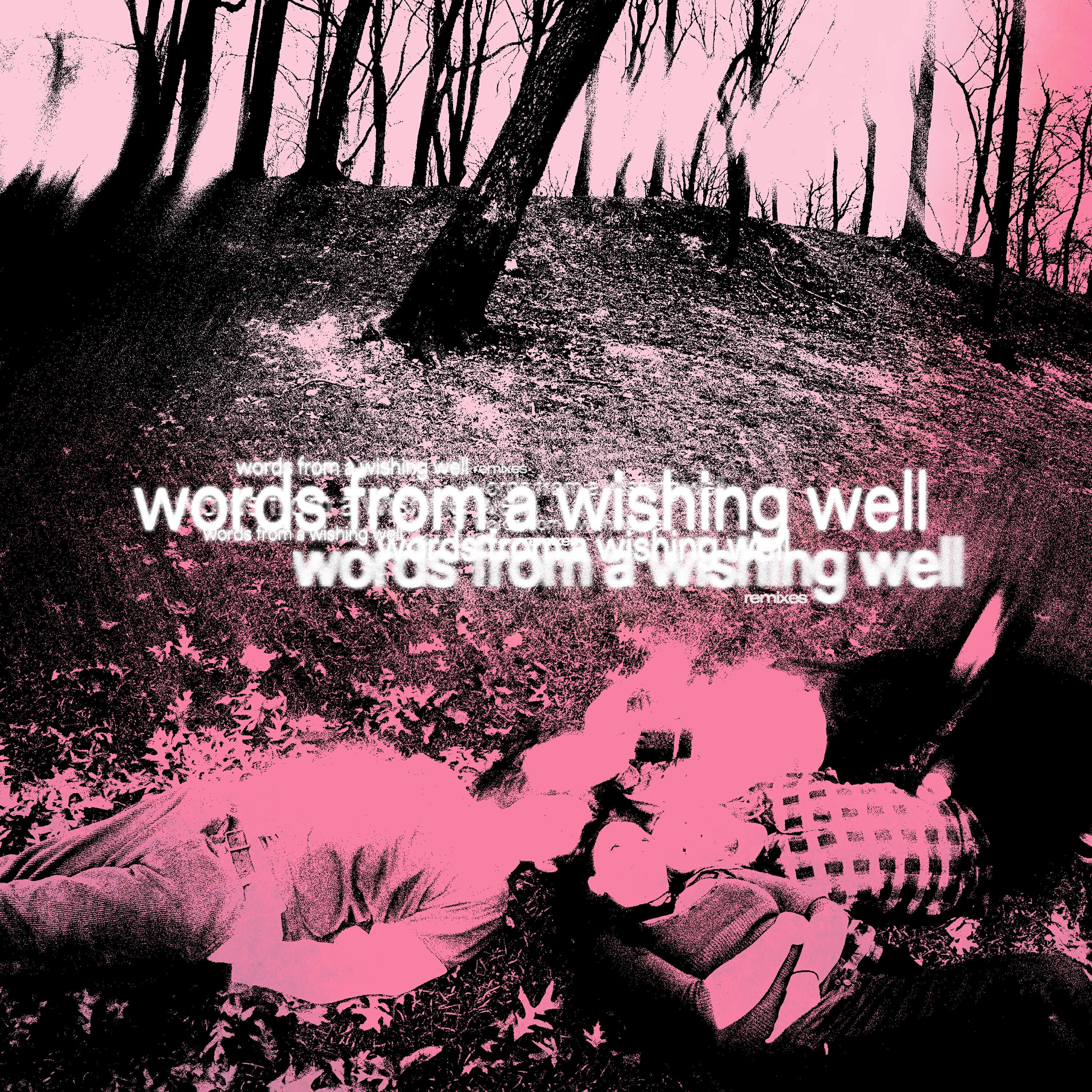 Релиз words from a wishing well (Deluxe Edition)