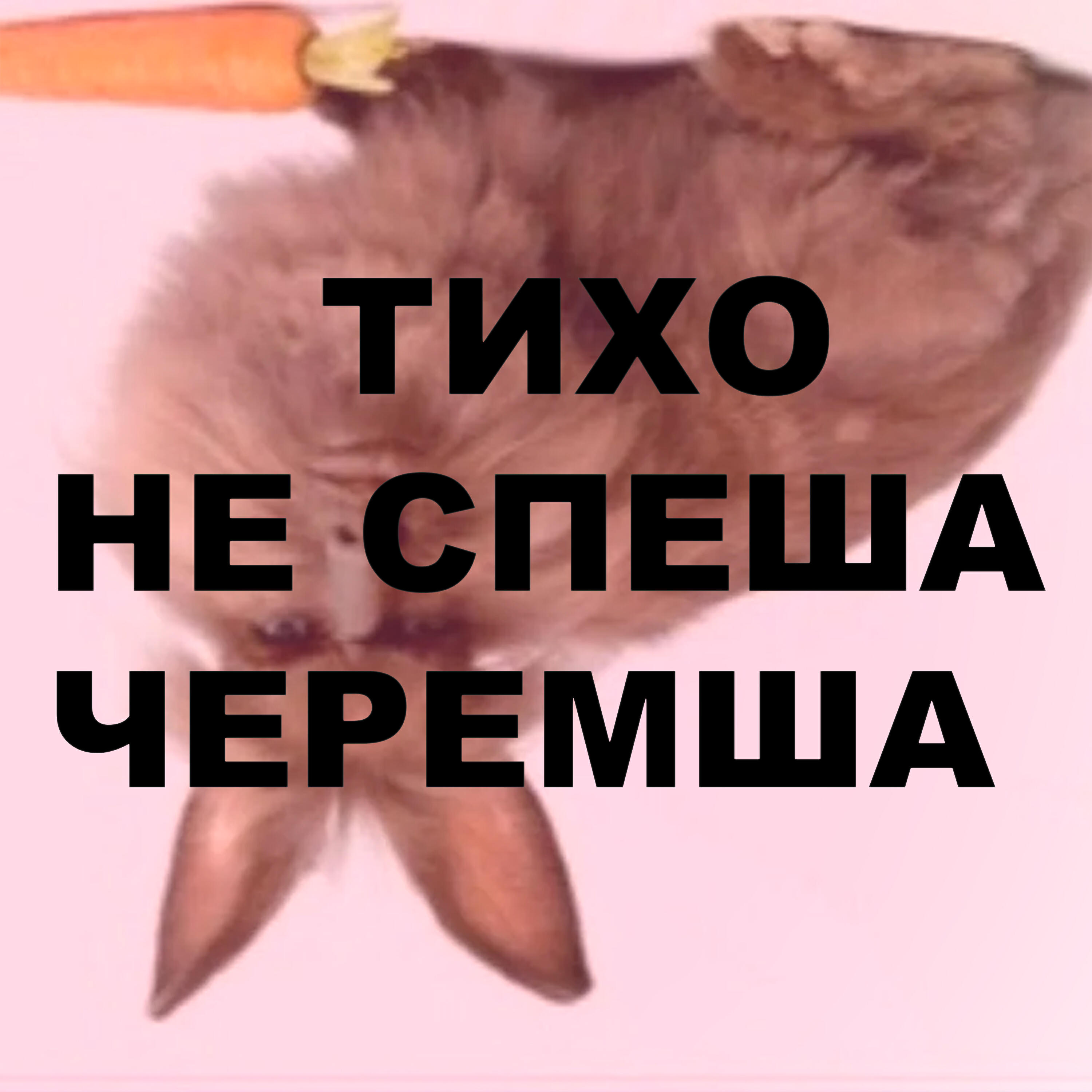 Радио Виски