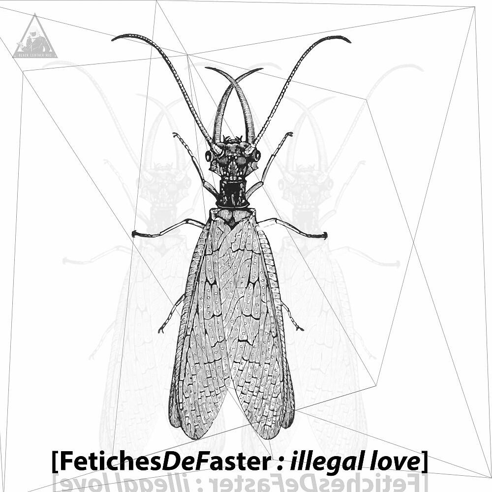Релиз Illegal Love