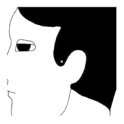 Релиз Nobody Calls