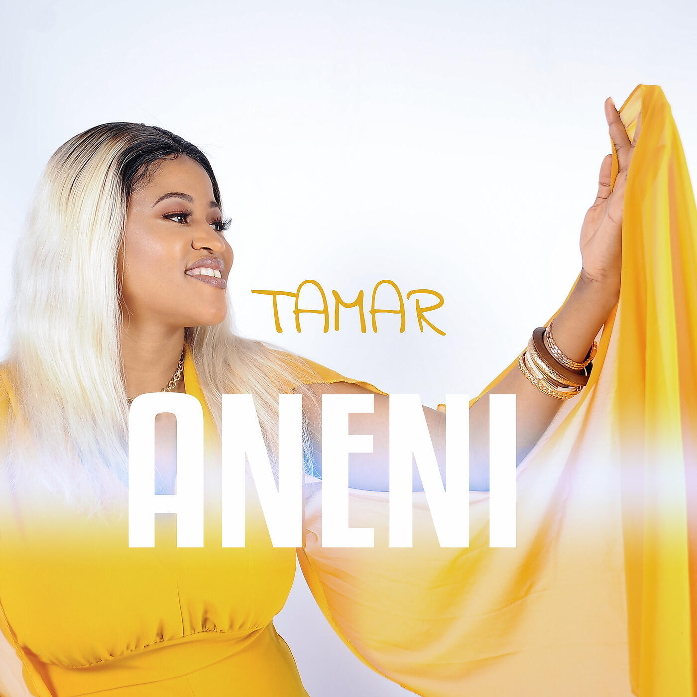 Релиз Aneni