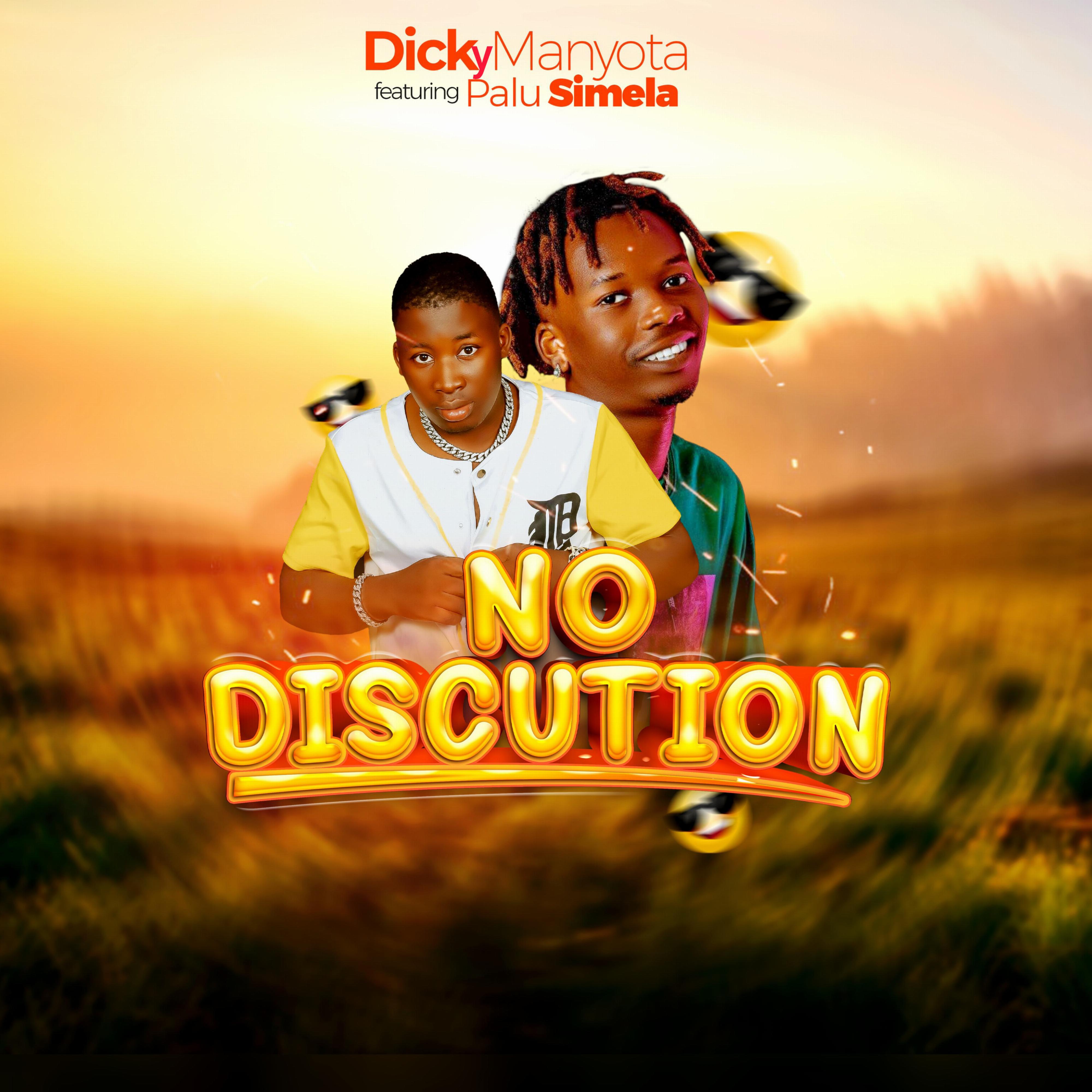 Релиз No Discussion (feat. Palu Simela)