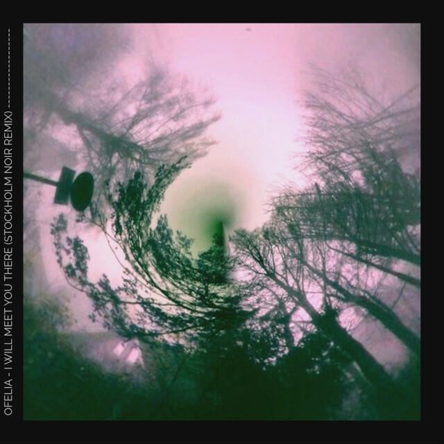 Релиз I Will Meet You There (Stockholm Noir Remix)