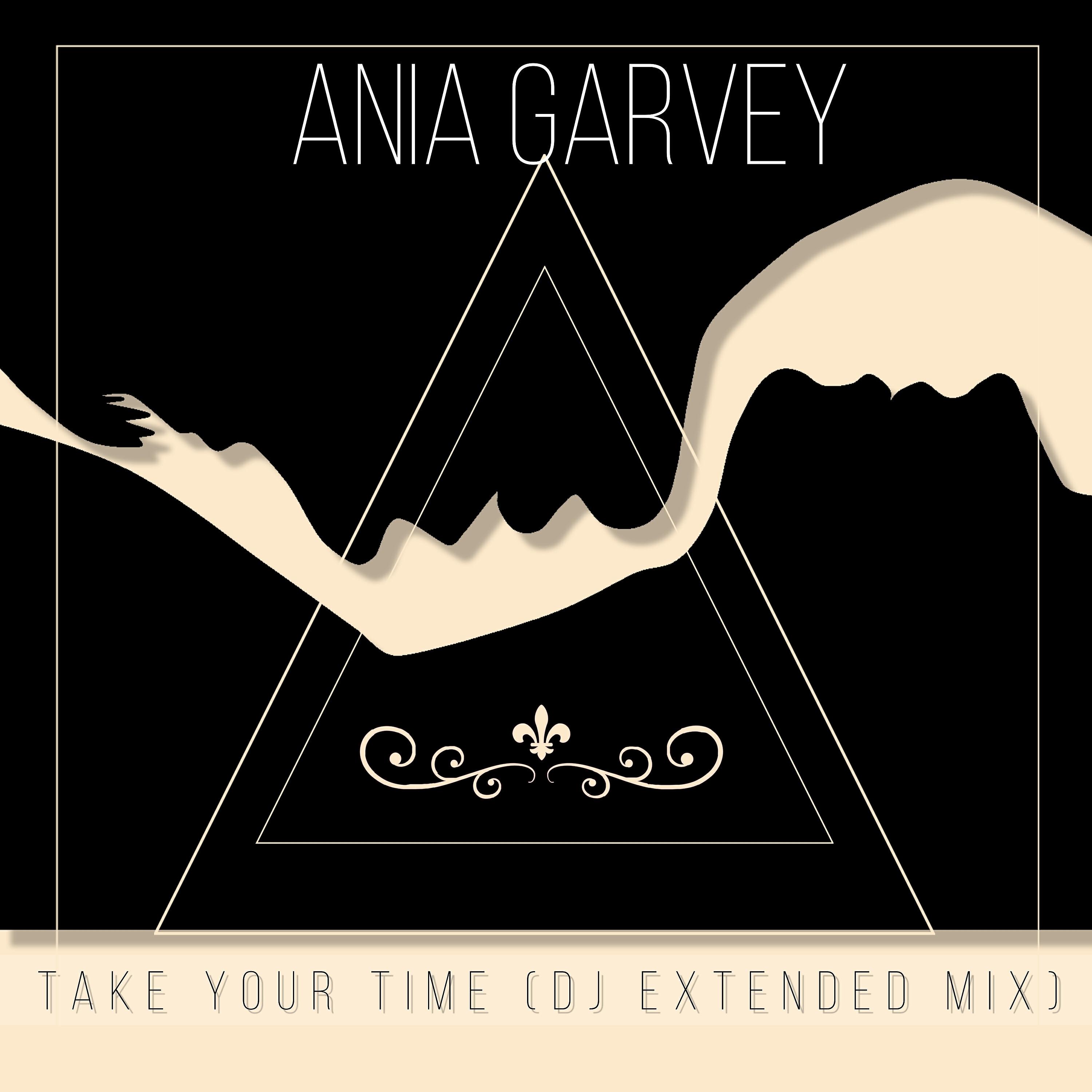 Релиз Take Your Time (DJ Extended Mix)