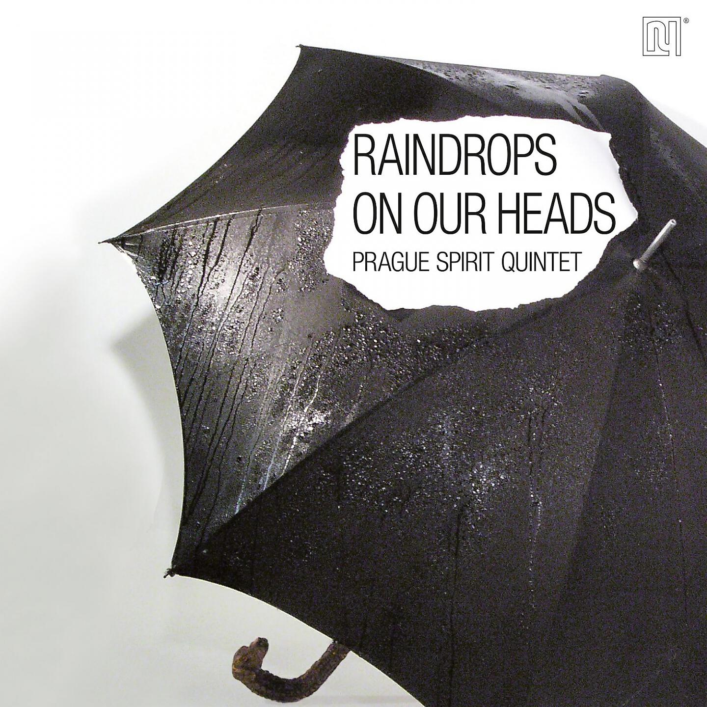 Релиз Raindrops on Our Heads