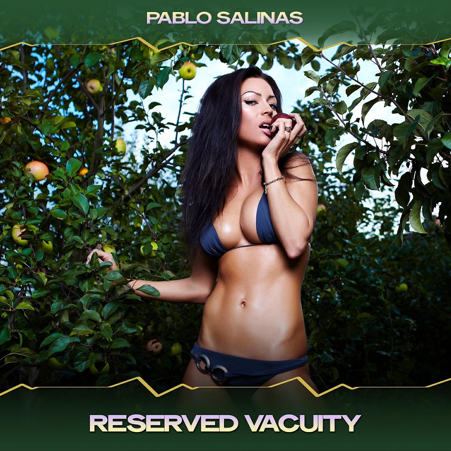 Релиз Reserved Vacuity