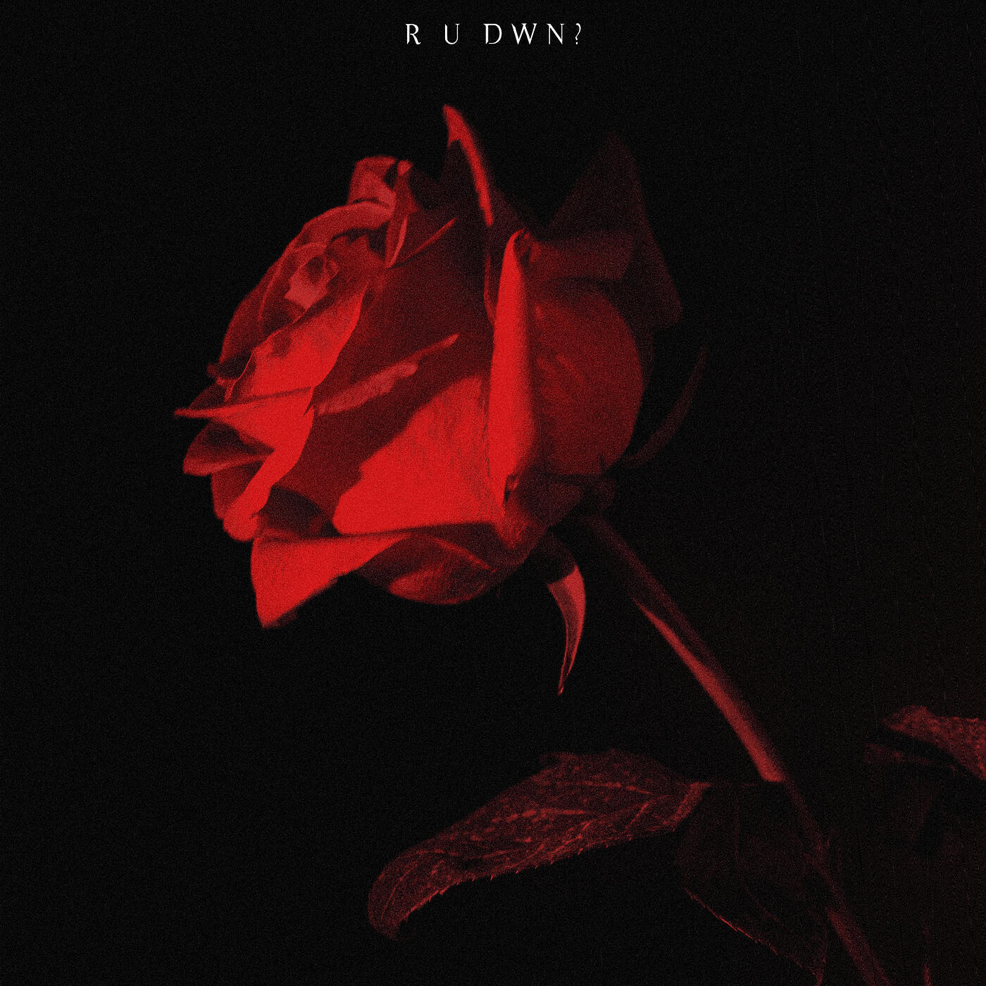 Релиз R U DWN?