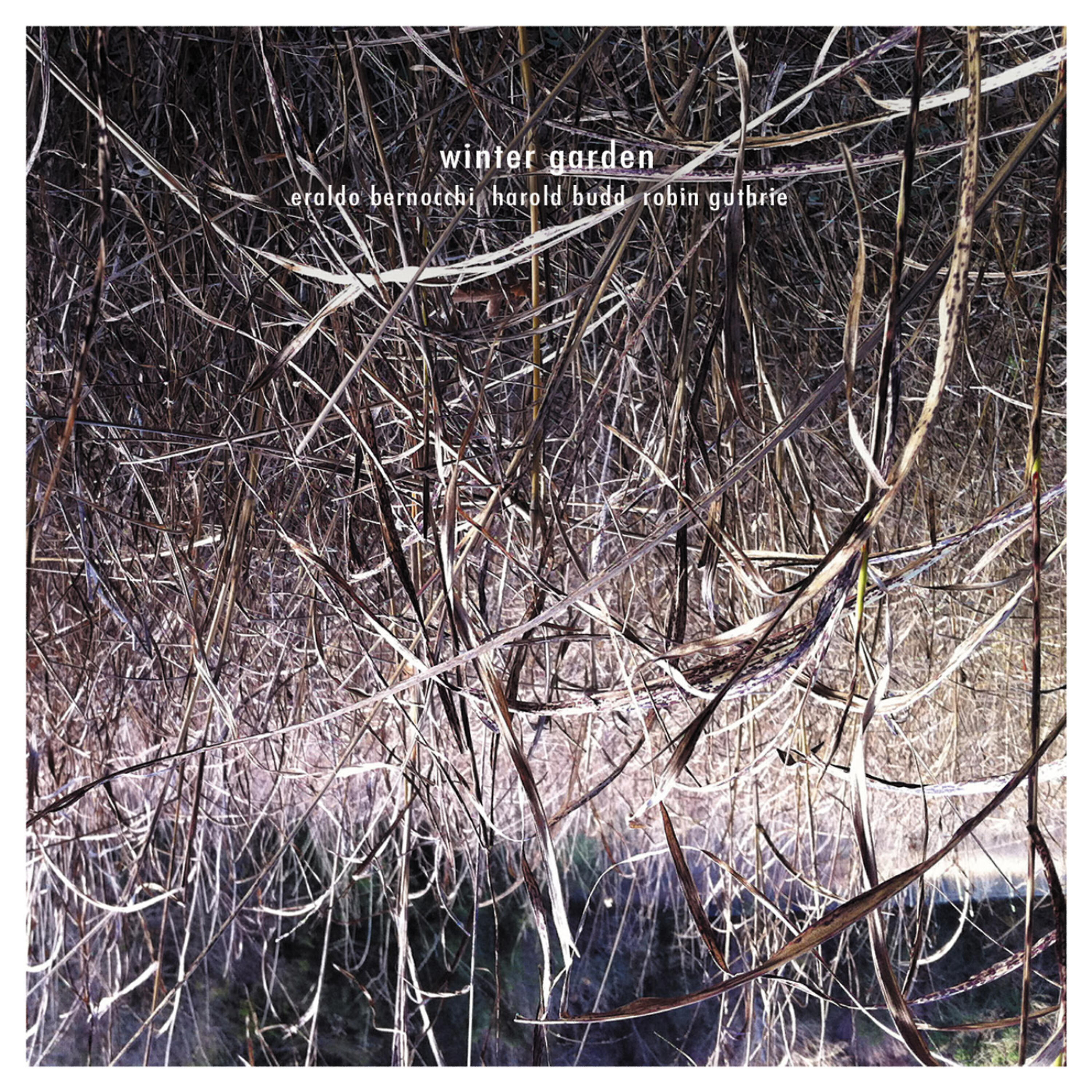 Релиз Winter Garden