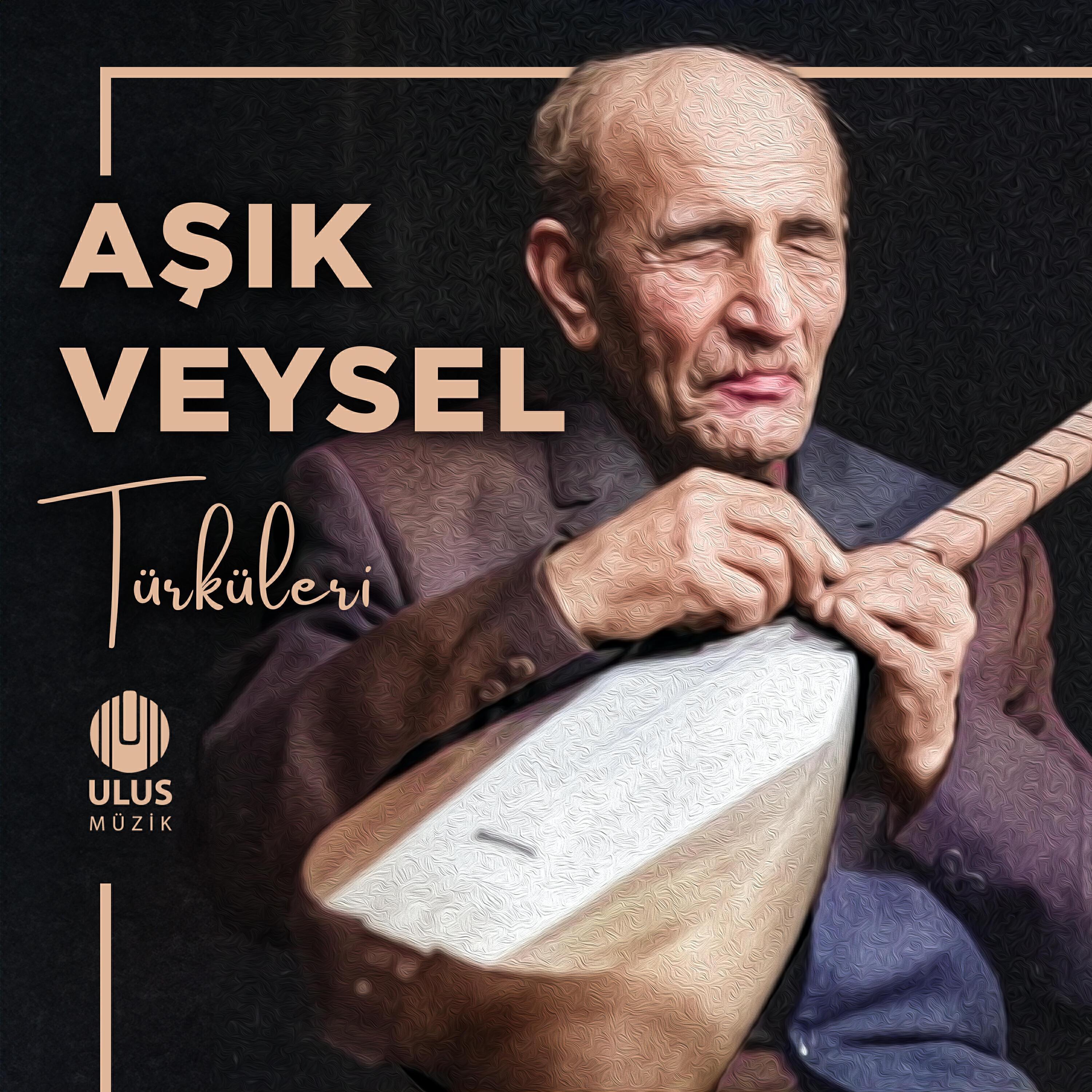 İzzet Altınmeşe