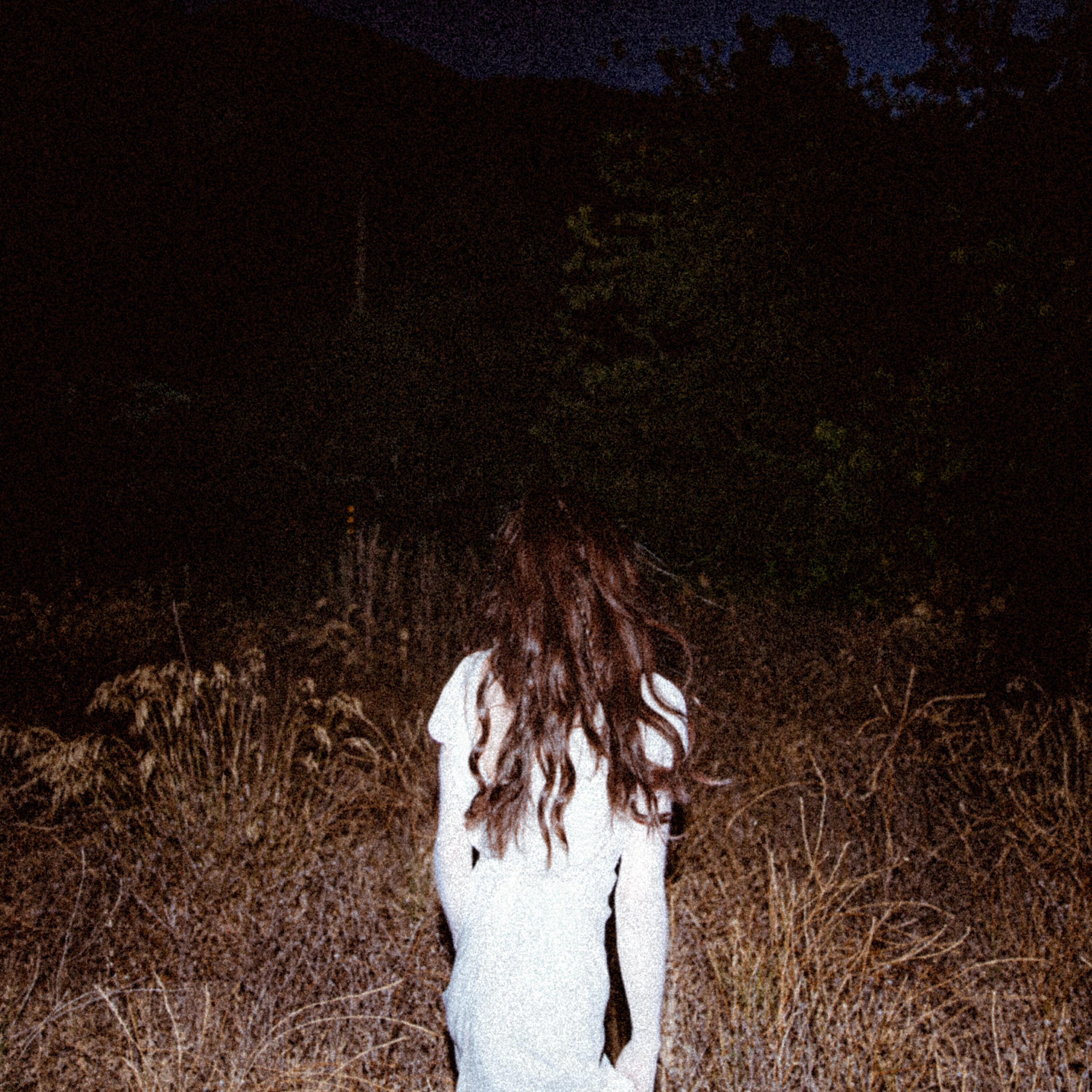 Релиз We Swallowed The Sky