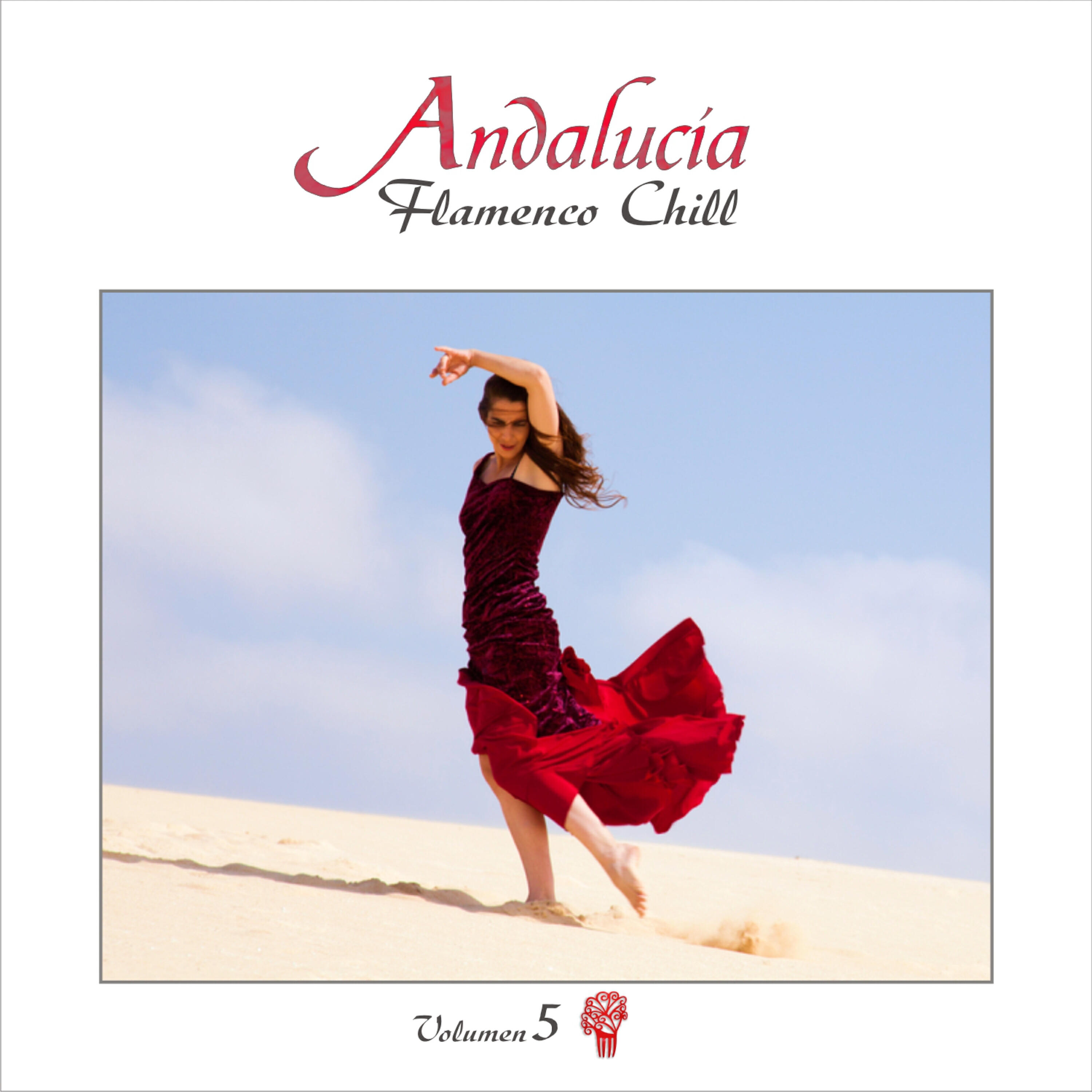 Релиз Andalucía Flamenco Chill, Vol. 5 (Continuous Mix)
