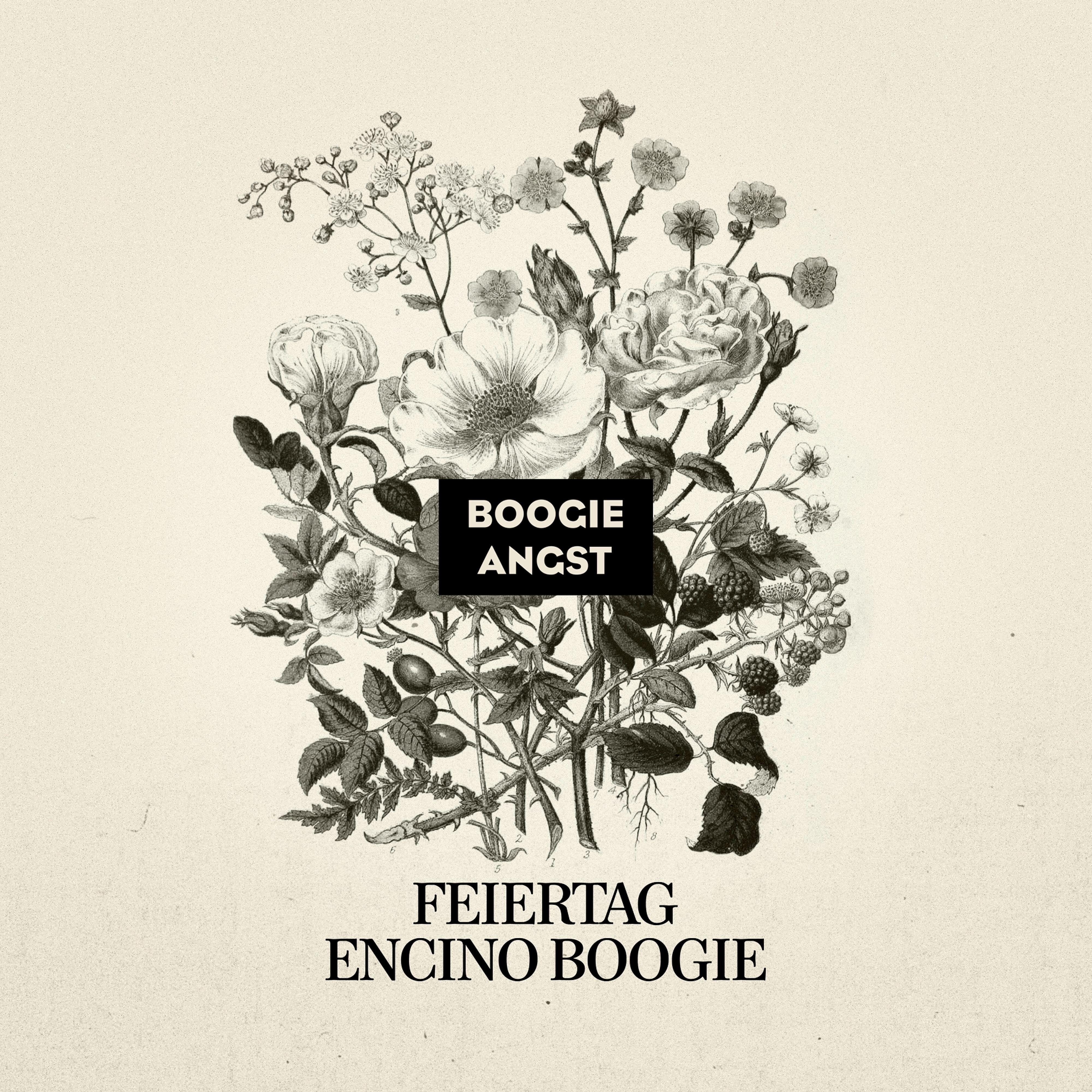 Релиз Encino Boogie
