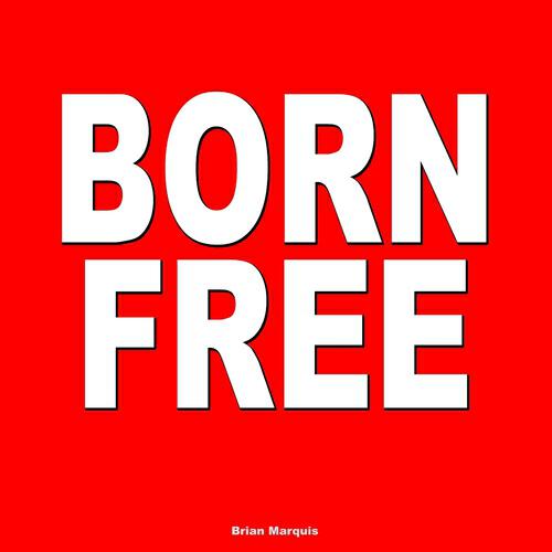 Релиз Born Free