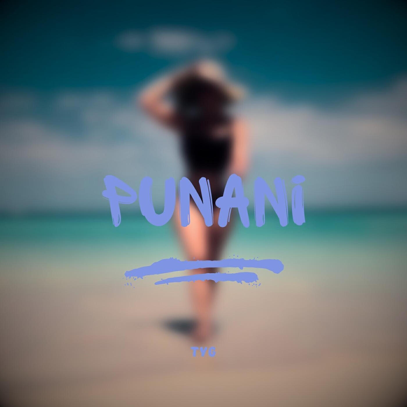 Постер альбома Punani