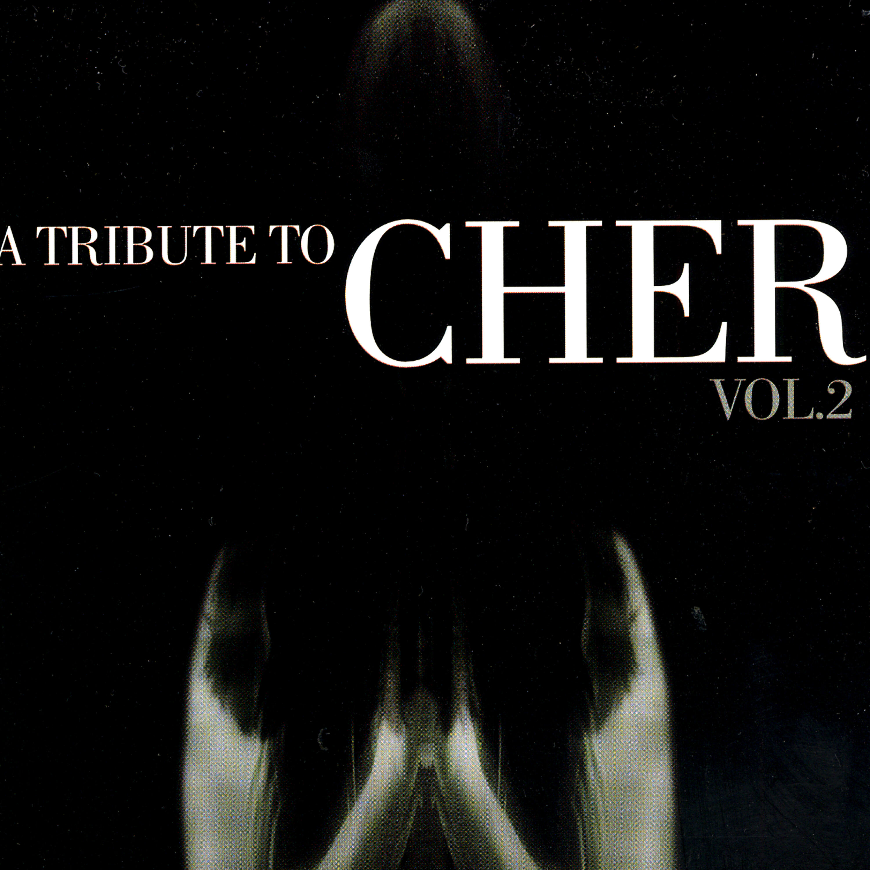 Релиз A Tribute To Cher, Vol. 2