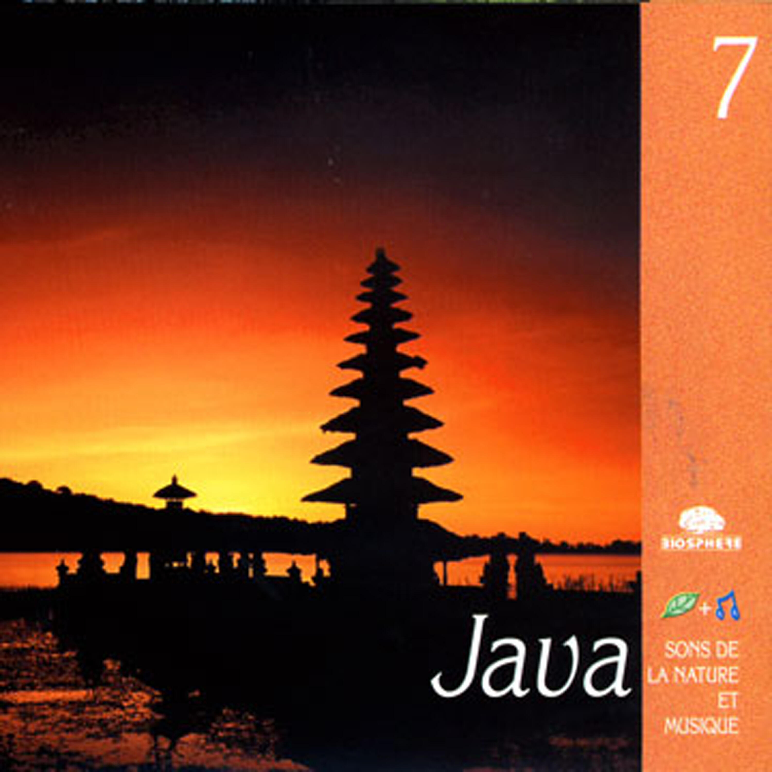 Релиз Java