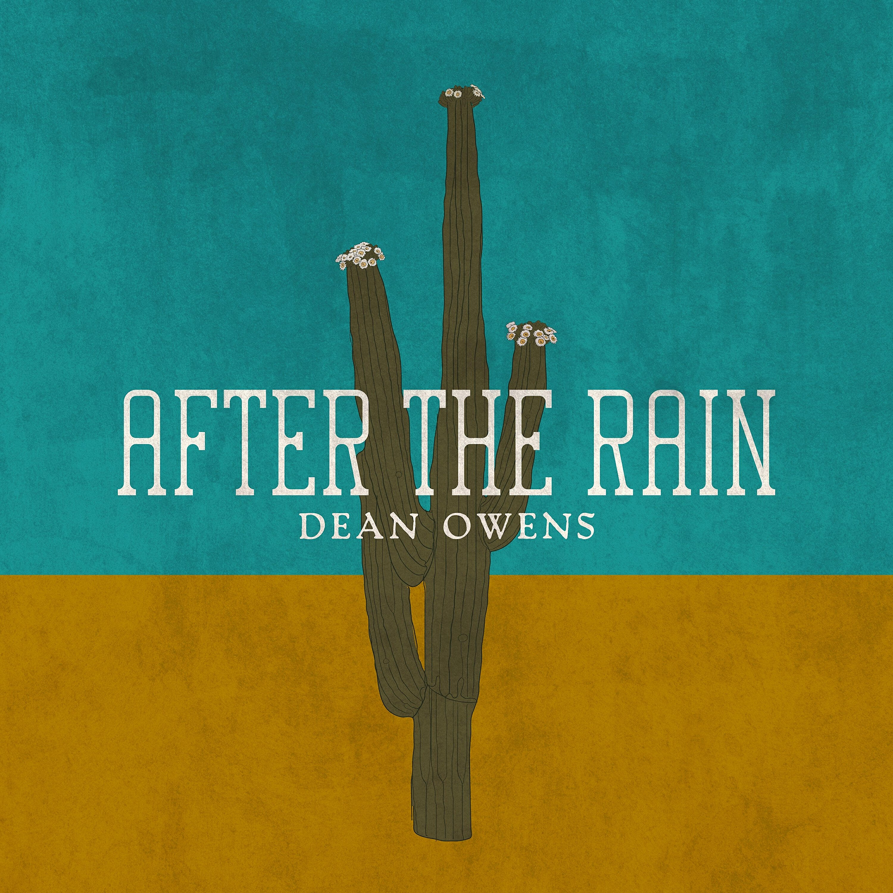 Релиз After the Rain