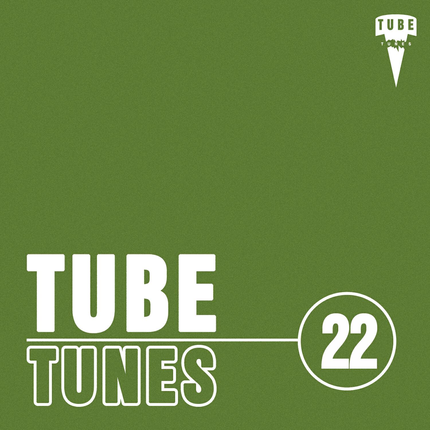 Релиз Tube Tunes, Vol.22
