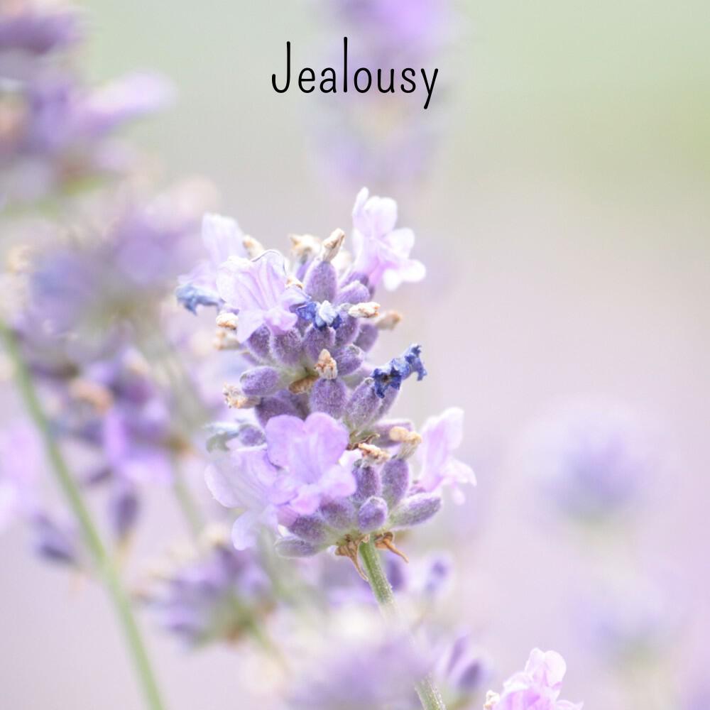 Релиз Jealousy
