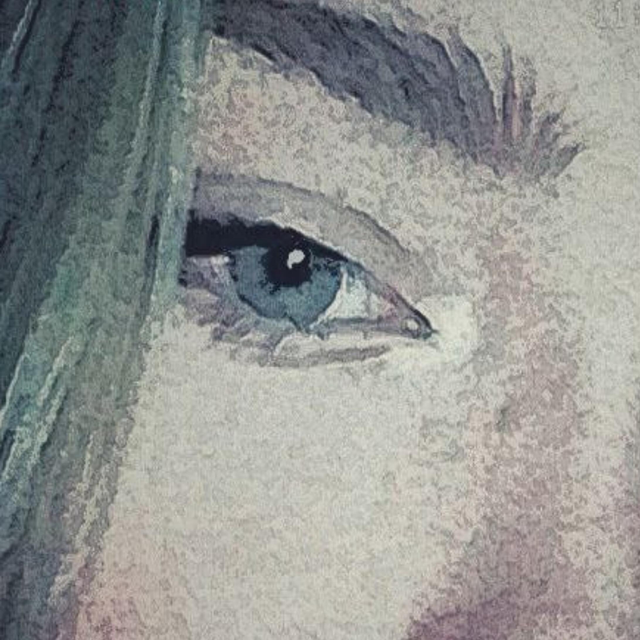 Релиз Catryn (Icon)