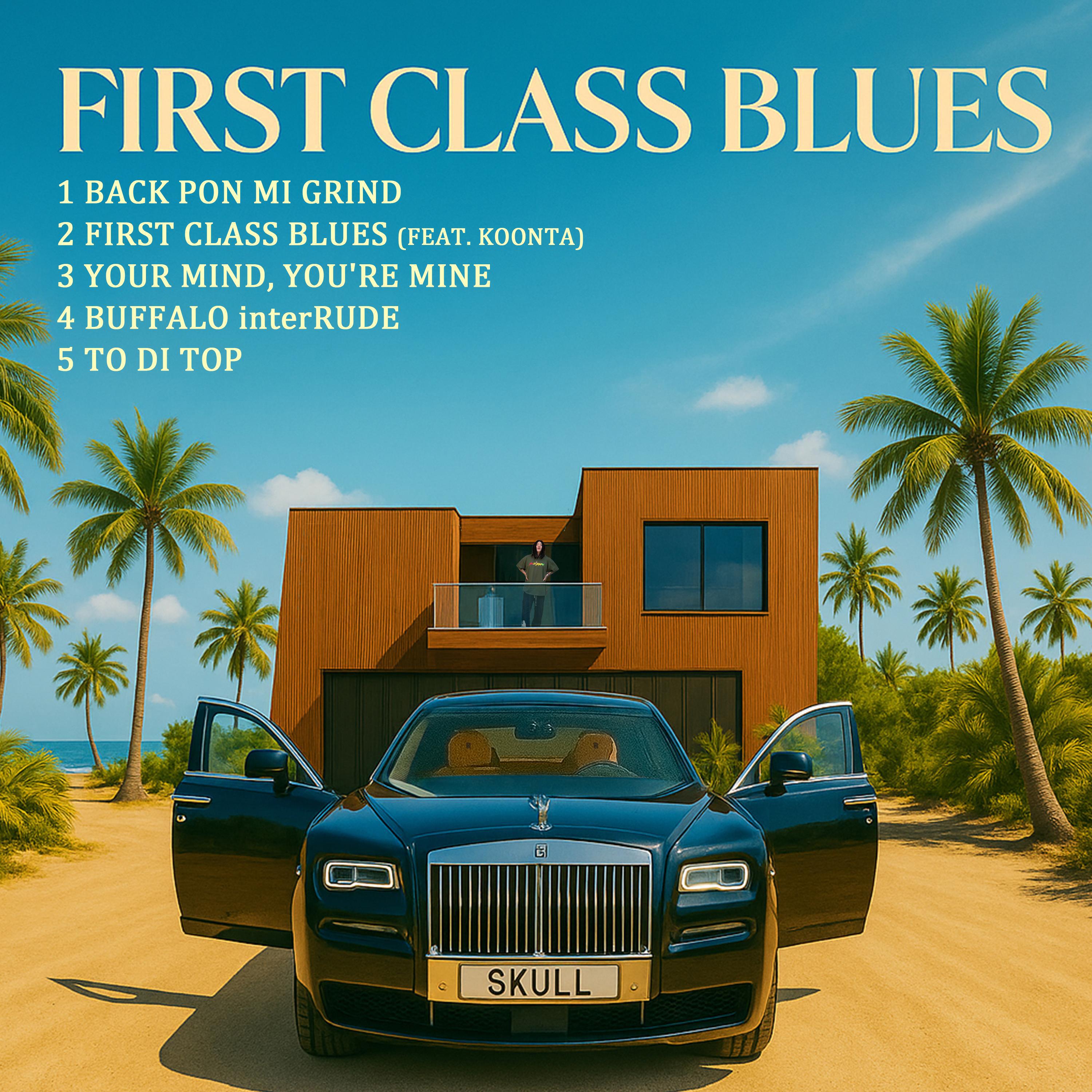 Постер альбома FIRST CLASS BLUES