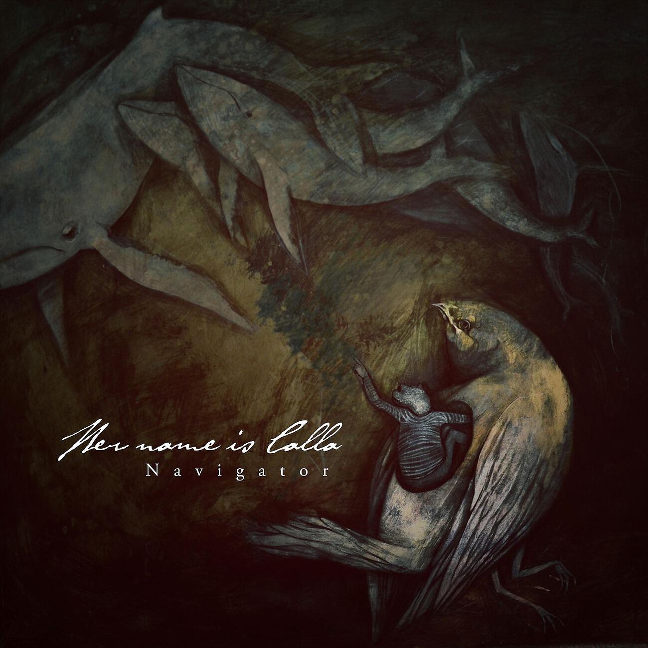 Релиз Navigator
