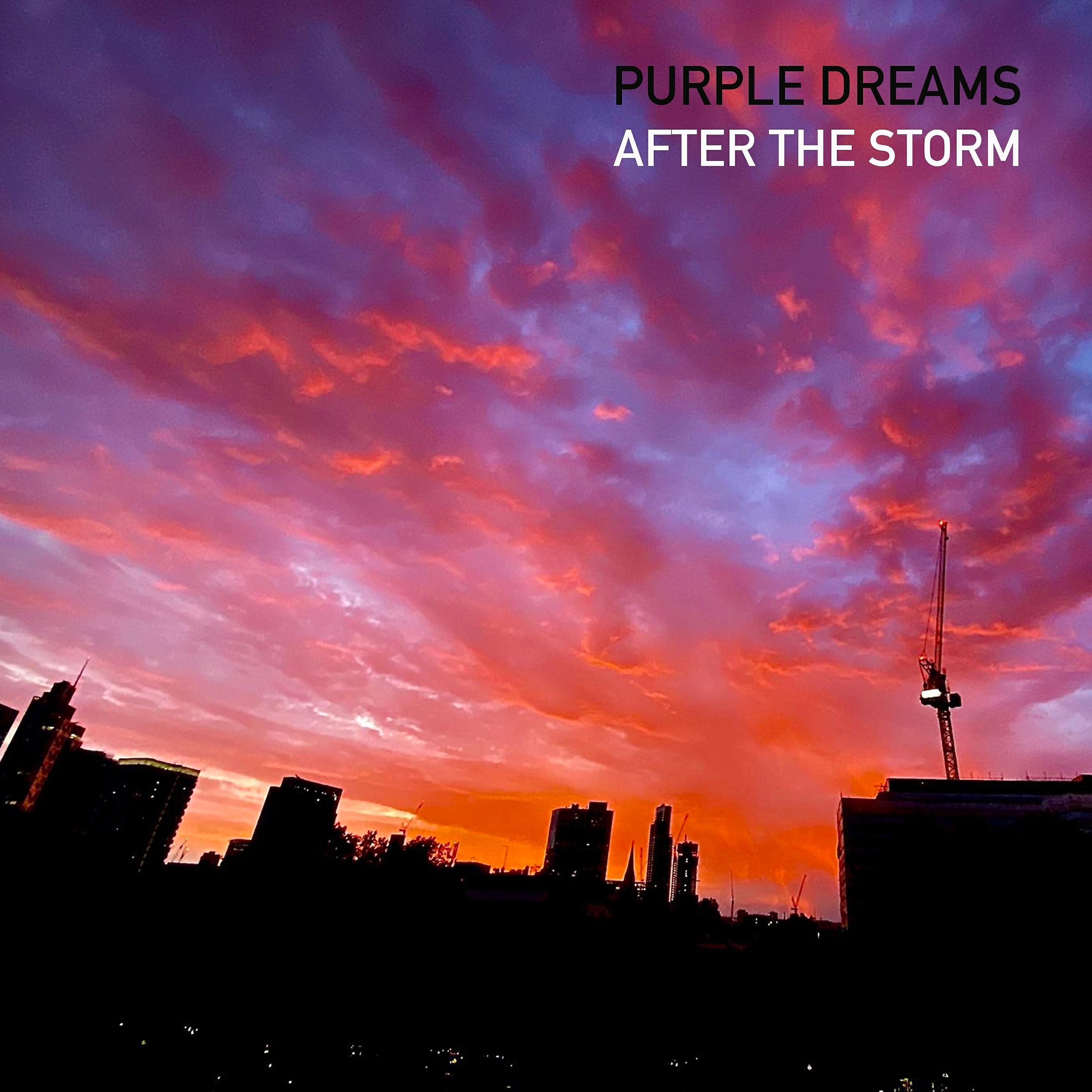 Релиз After The Storm